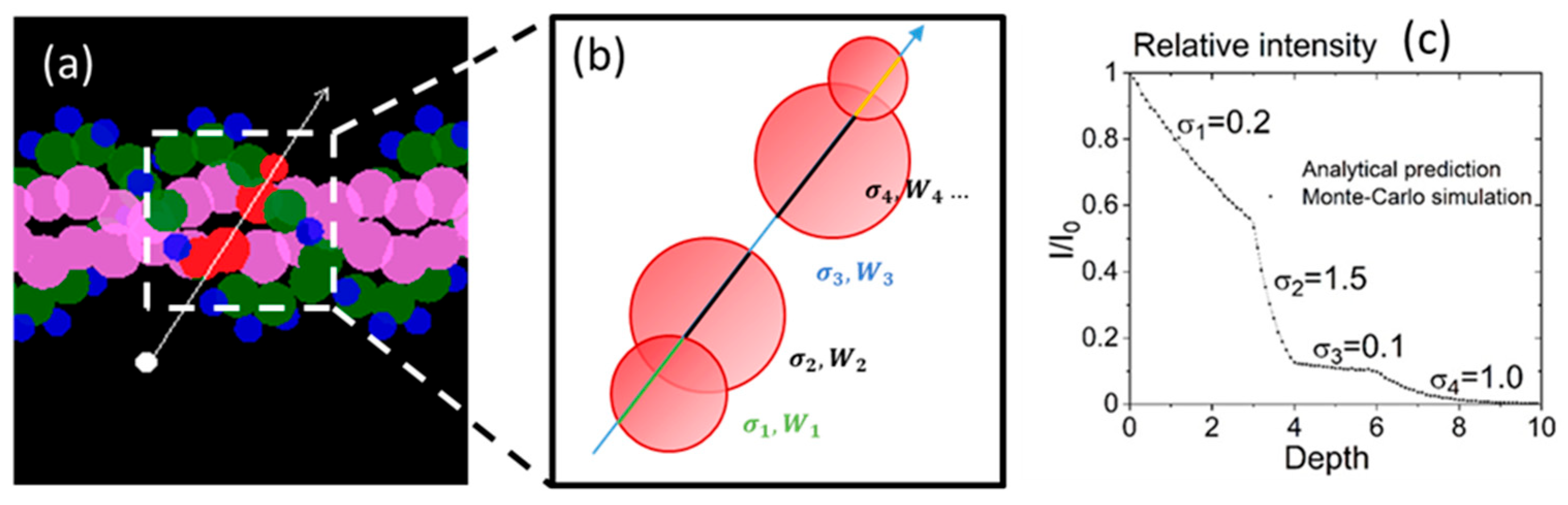 Biotech 13 00017 g003 Biotech 13 00017 g003