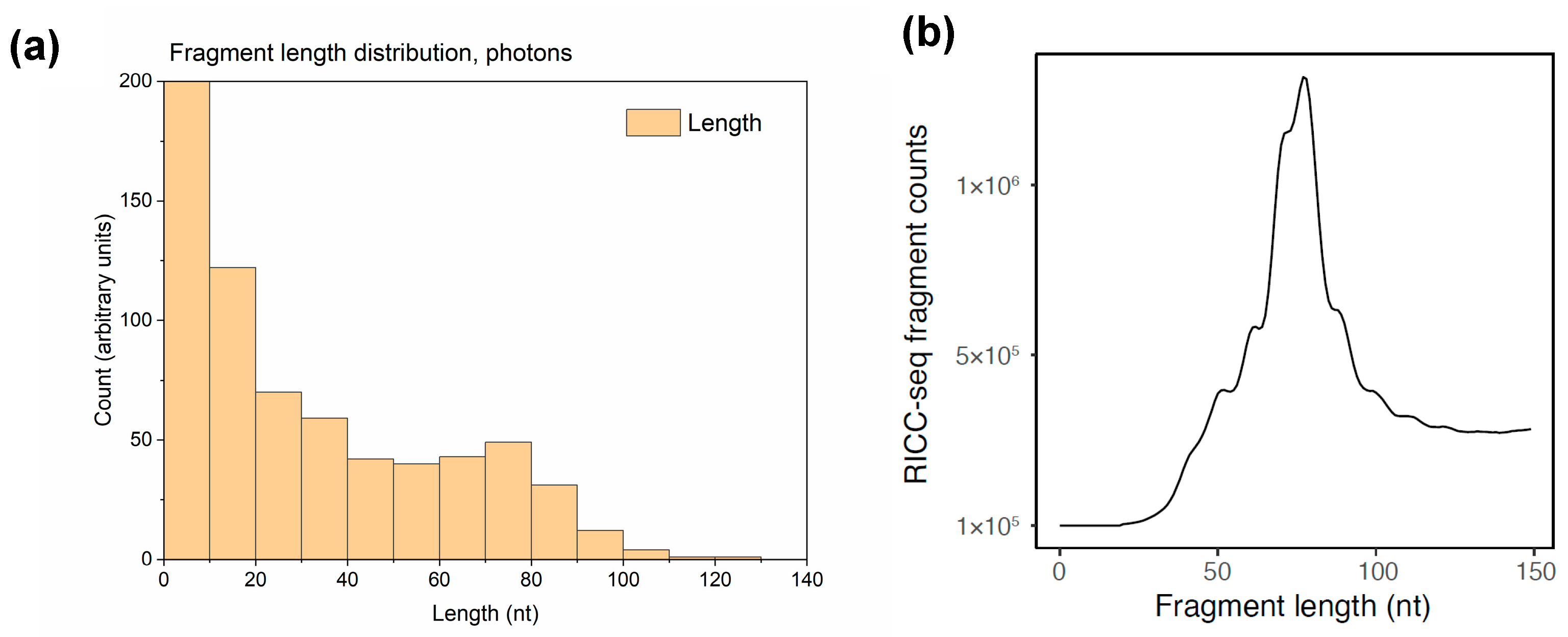 Biotech 13 00017 g009 Biotech 13 00017 g009