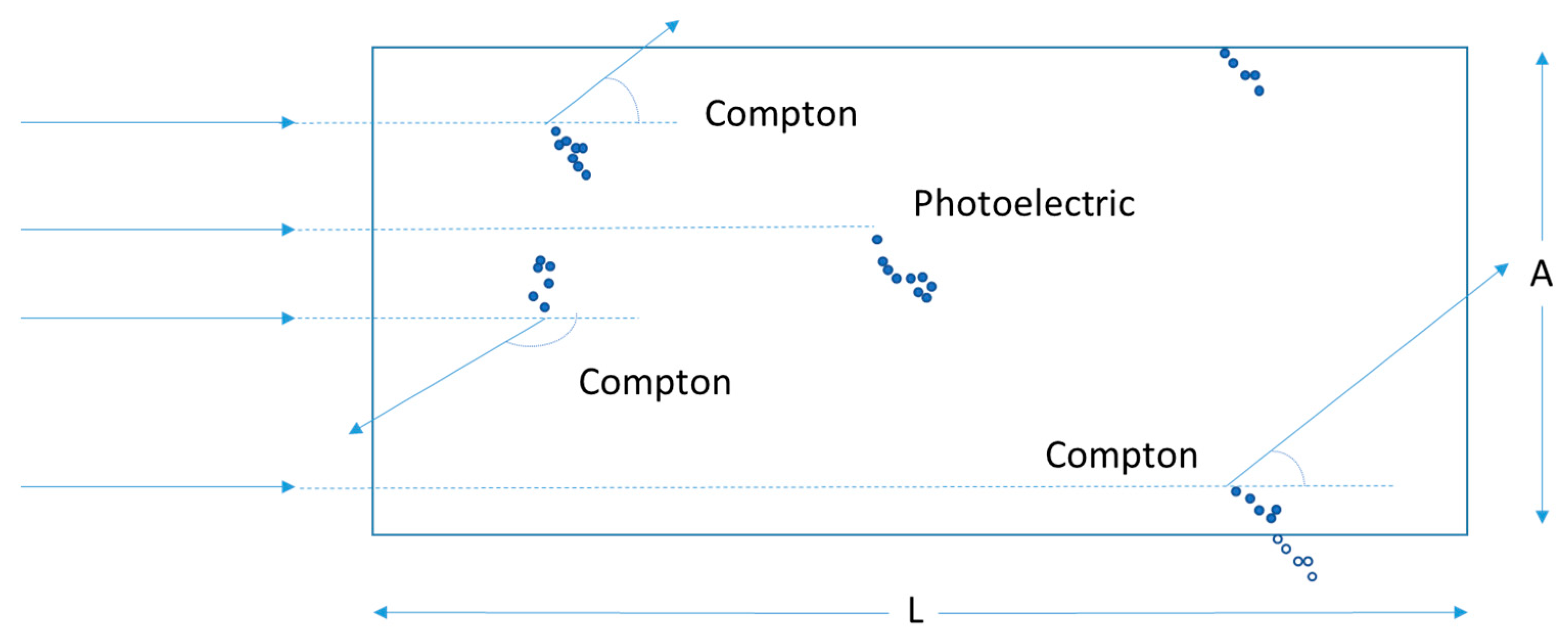 Biotech 13 00017 g0a1 Biotech 13 00017 g0a1