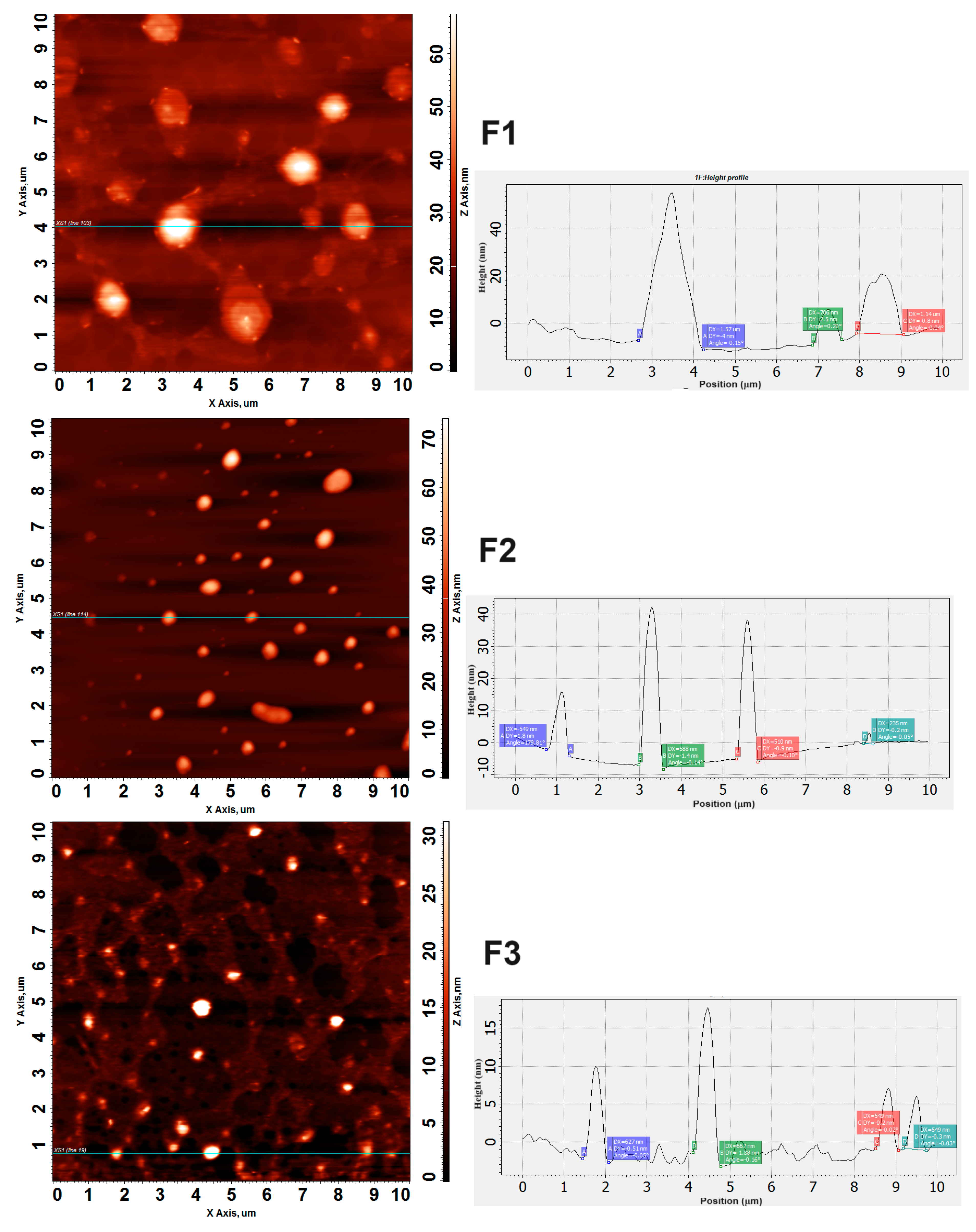 Biotech 13 00019 g004