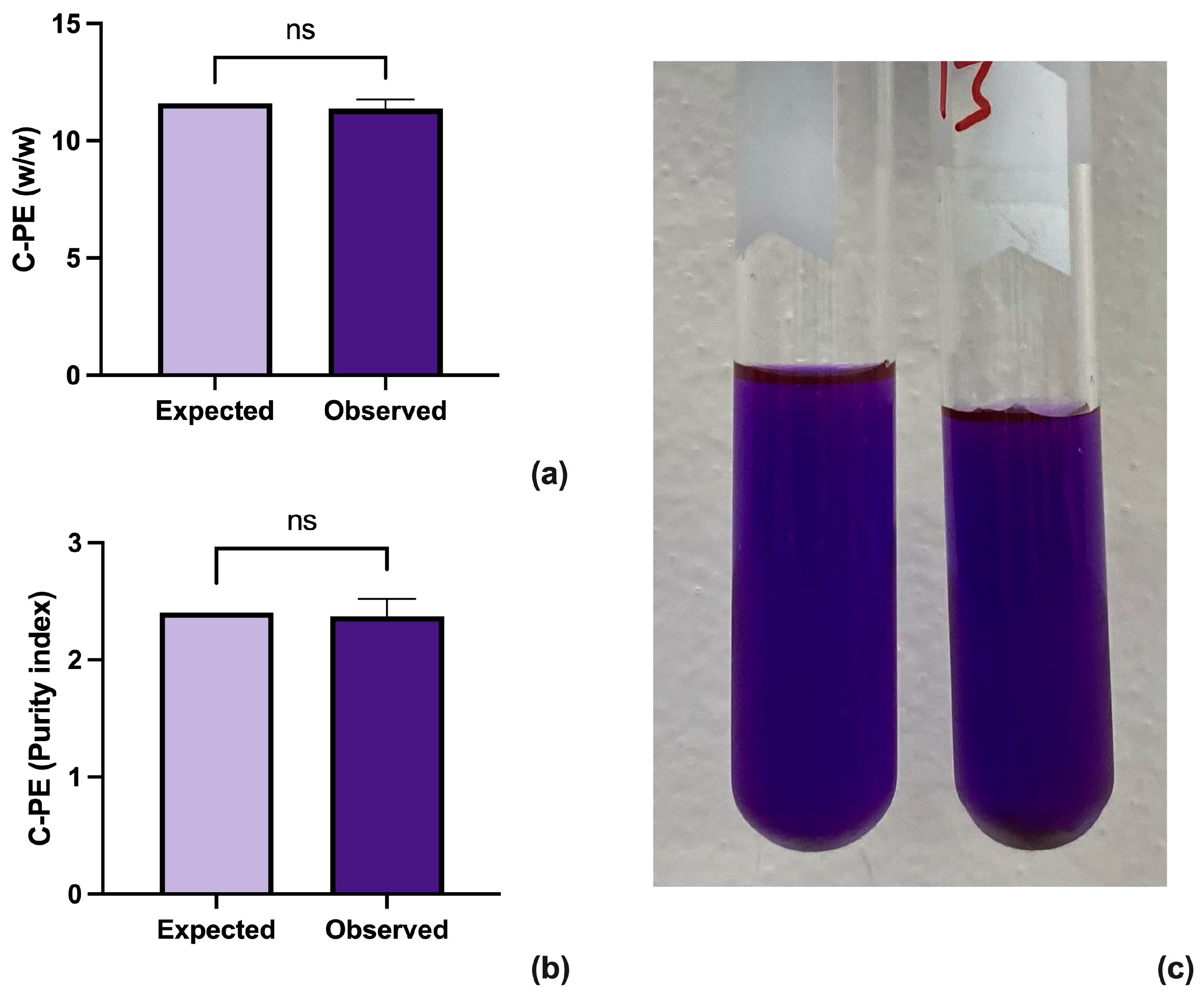 Biotech 13 00021 g002