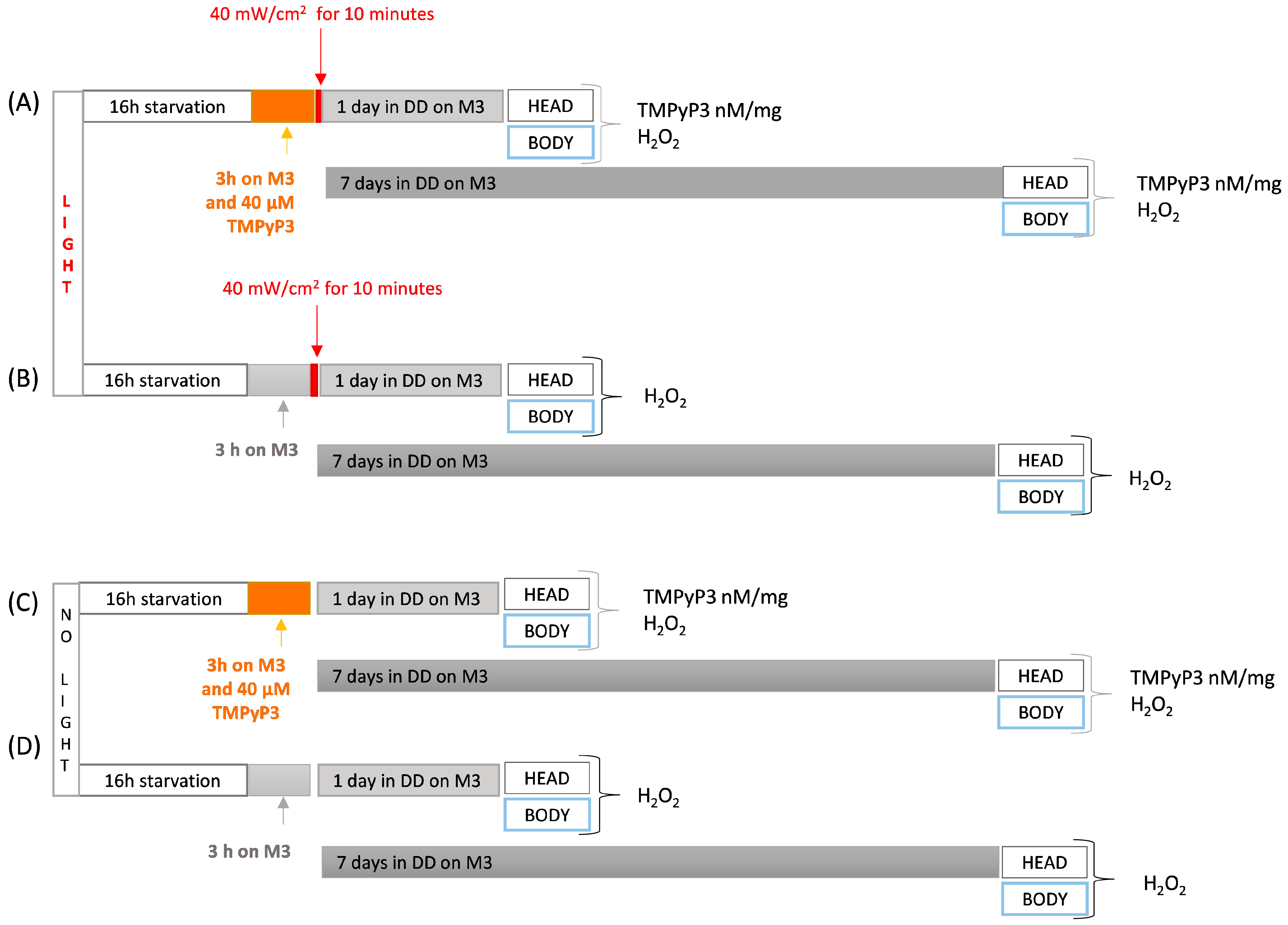 Biotech 13 00023 g002