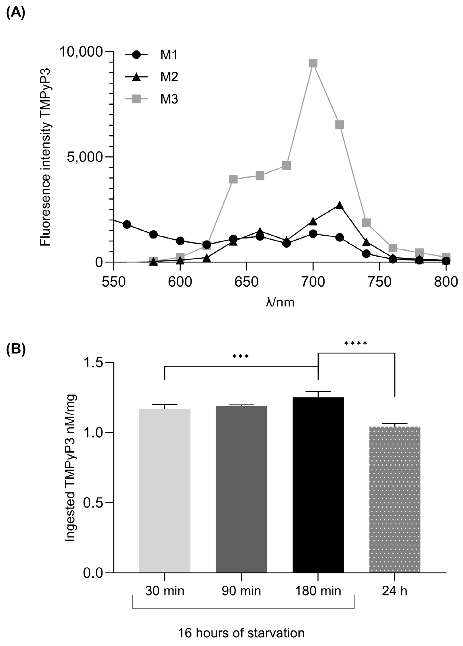 Biotech 13 00023 g003