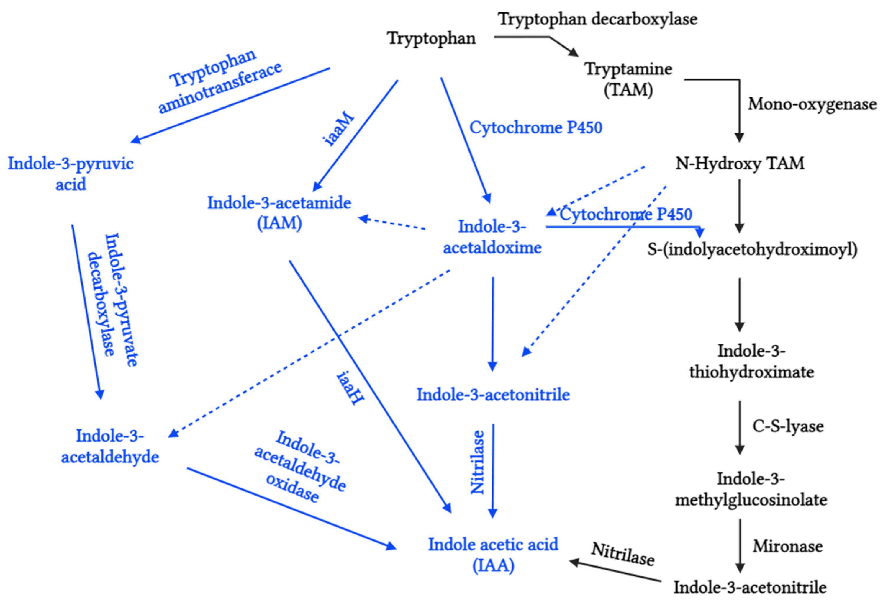 Biotech 13 00027 g002 Biotech 13 00027 g002