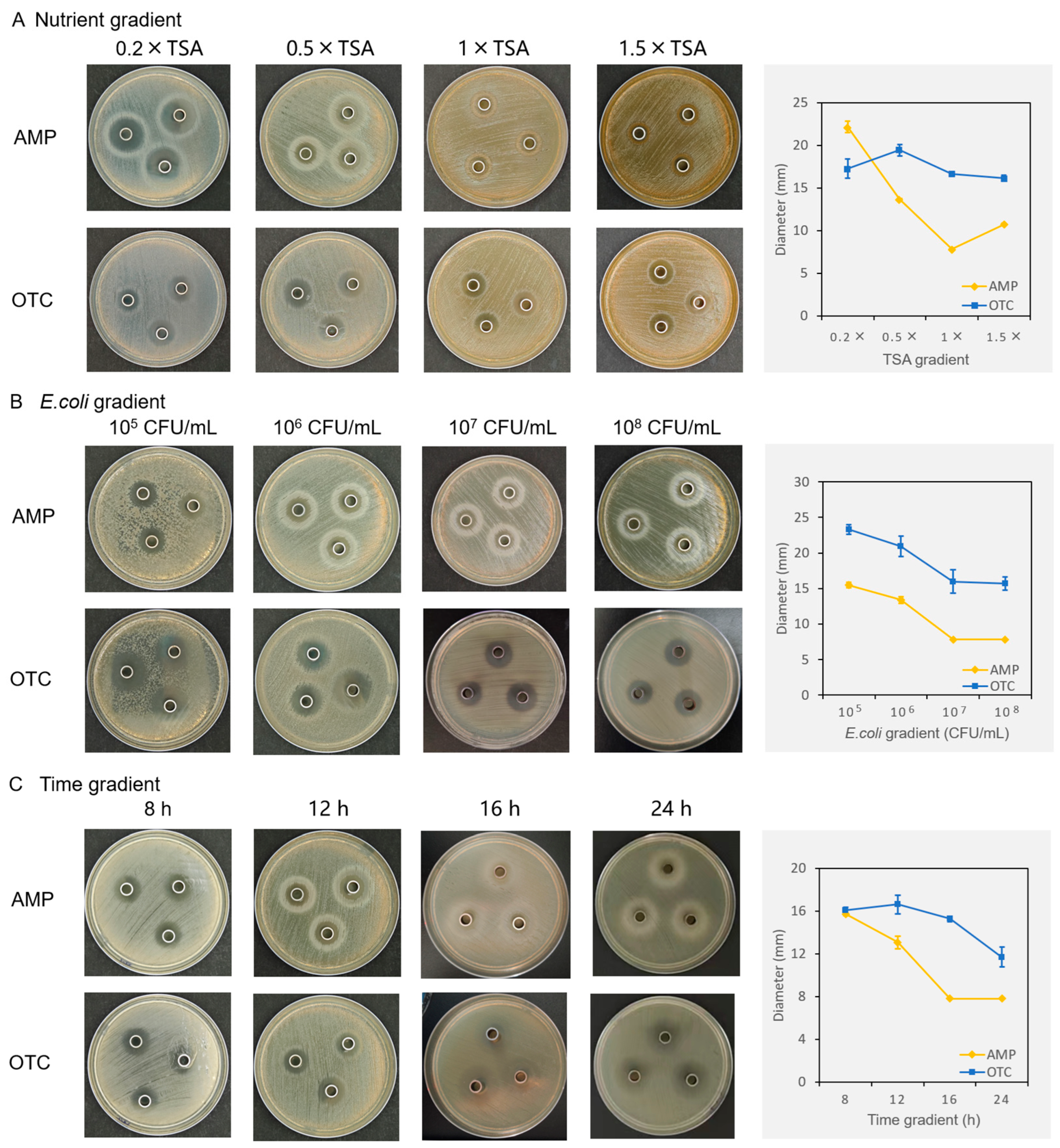 Biotech 13 00031 g004