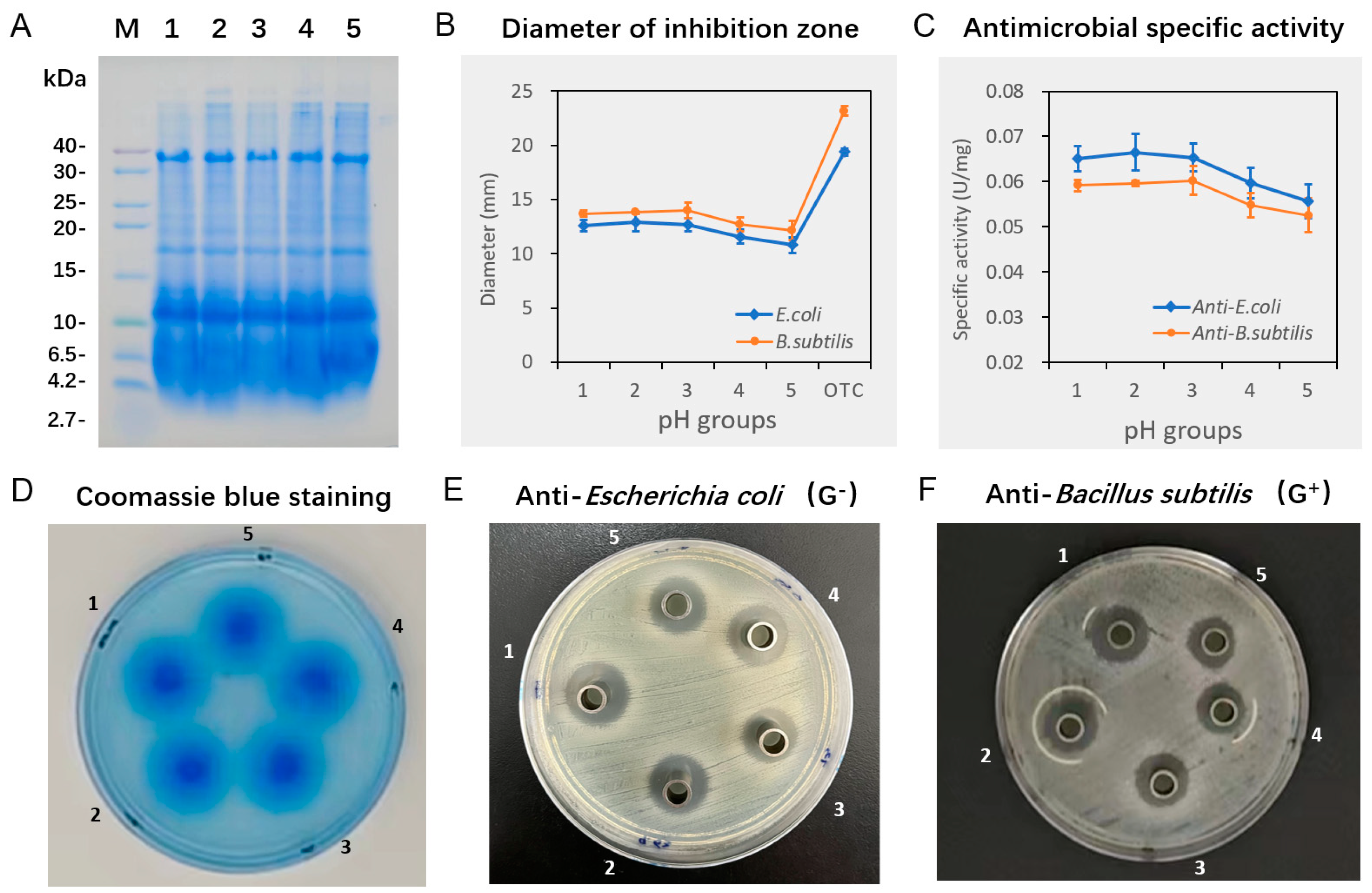 Biotech 13 00031 g005