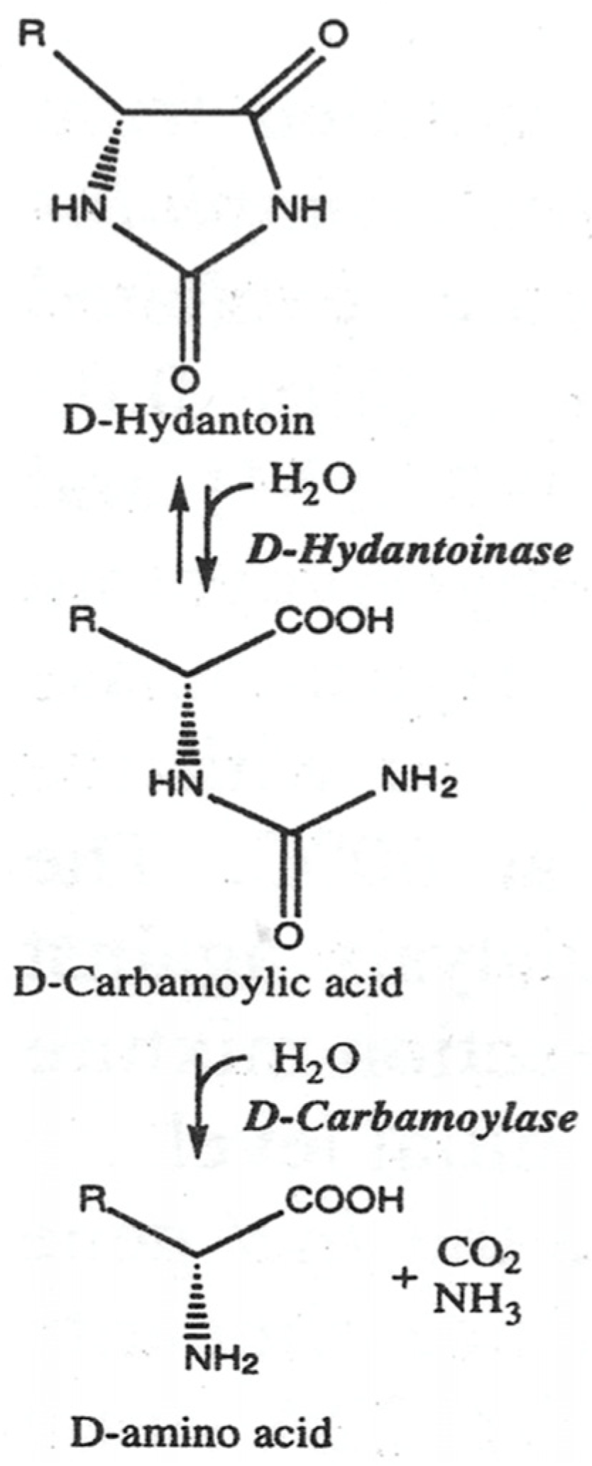 Biotech 13 00040 g001 Biotech 13 00040 g001