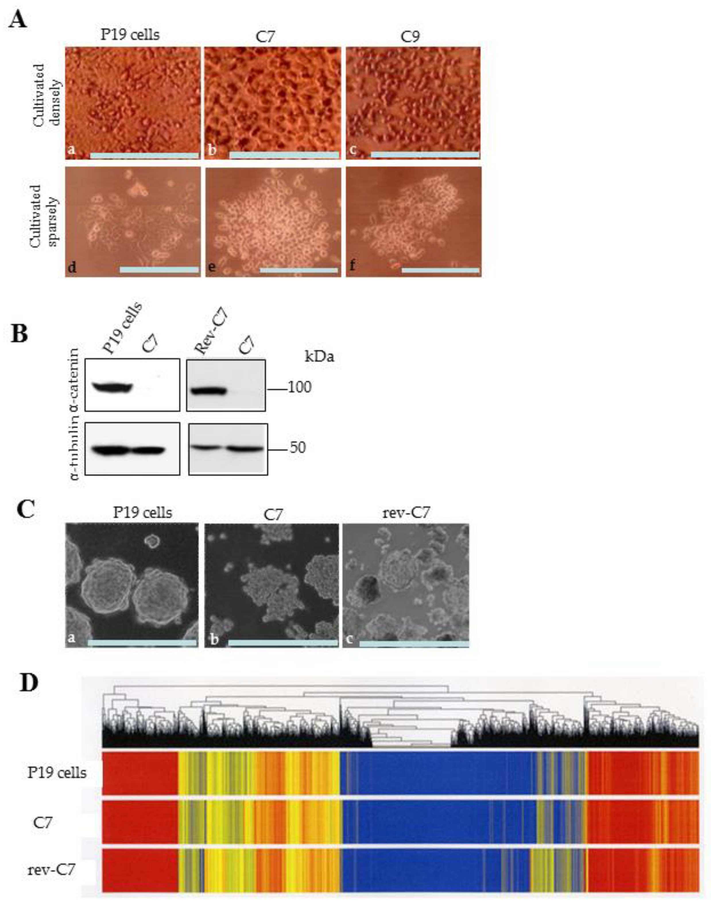 Biotech 13 00041 g002