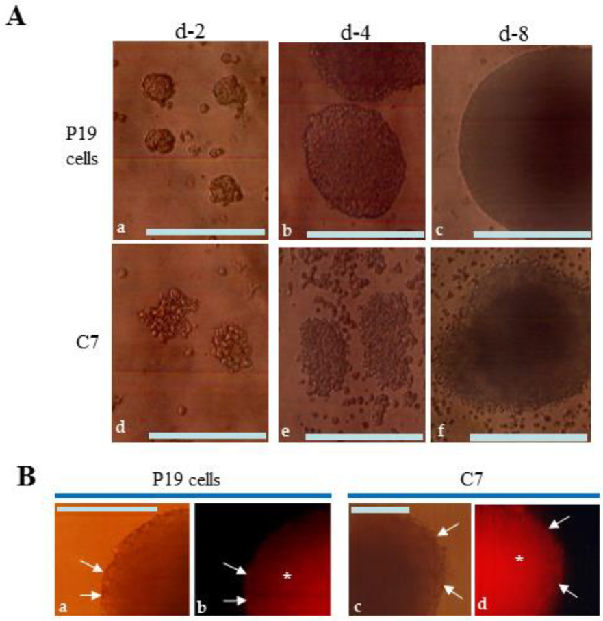 Biotech 13 00041 g003