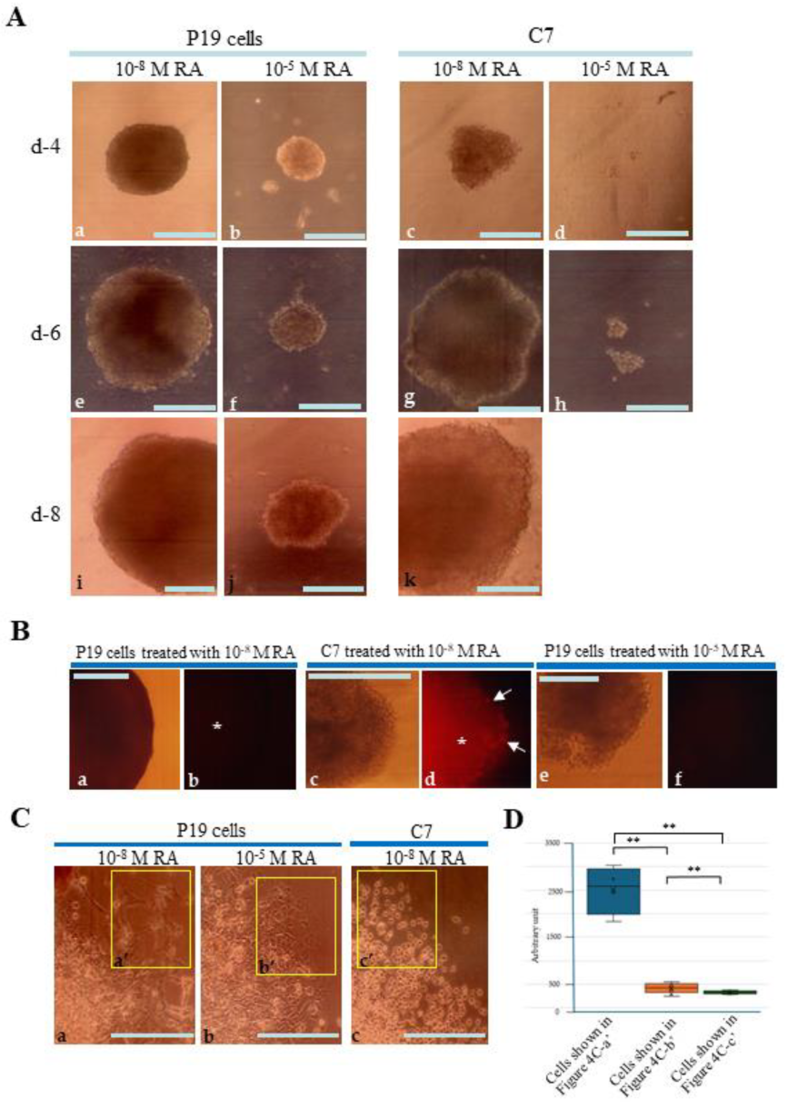 Biotech 13 00041 g004