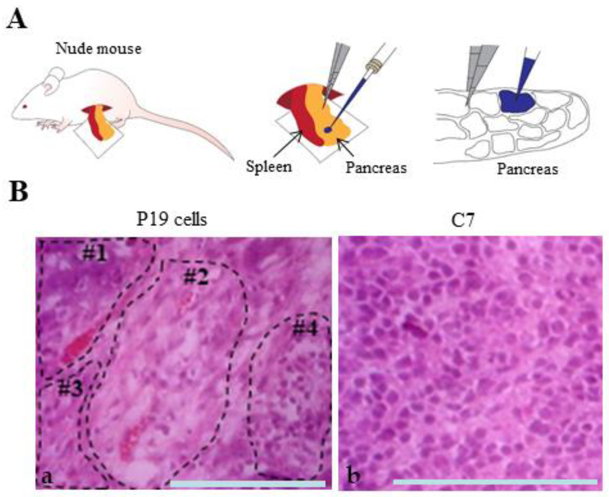 Biotech 13 00041 g005