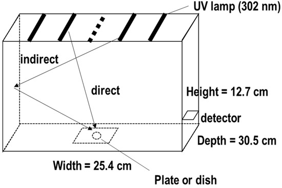 Ultraviolet, Did the Cell See It from the Side or the Bottom Ultraviolet, Did the Cell See It from the Side or the Bottom