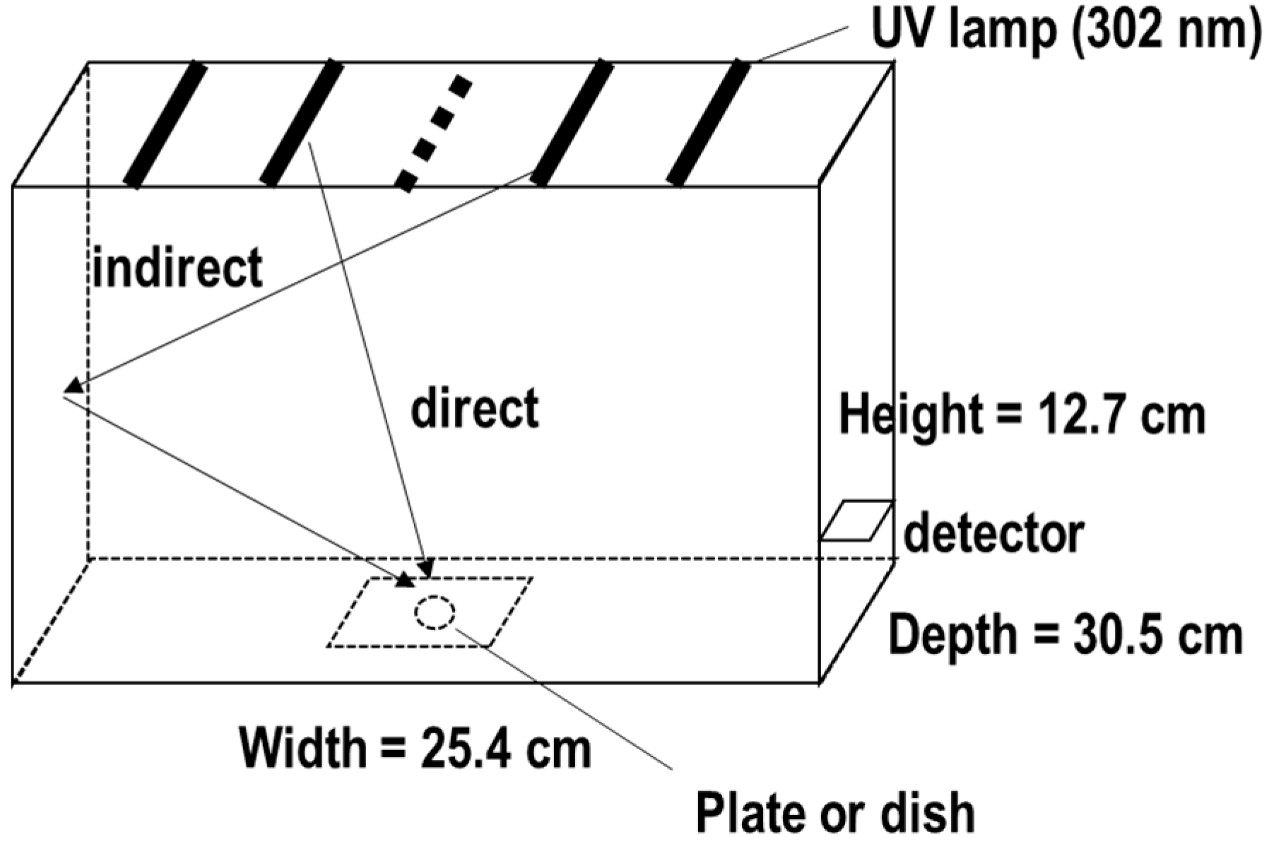 Biotech 13 00044 g001