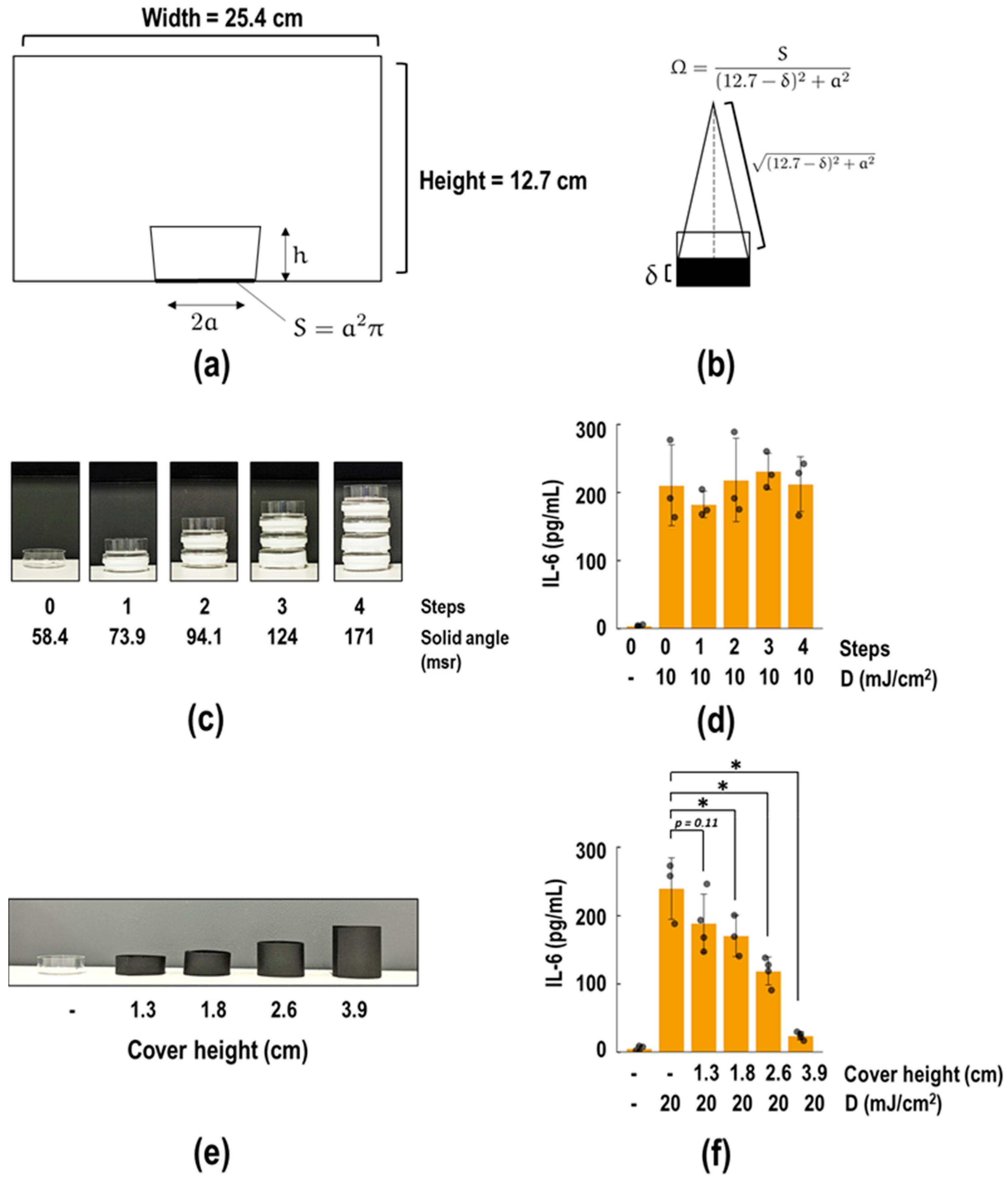 Biotech 13 00044 g004