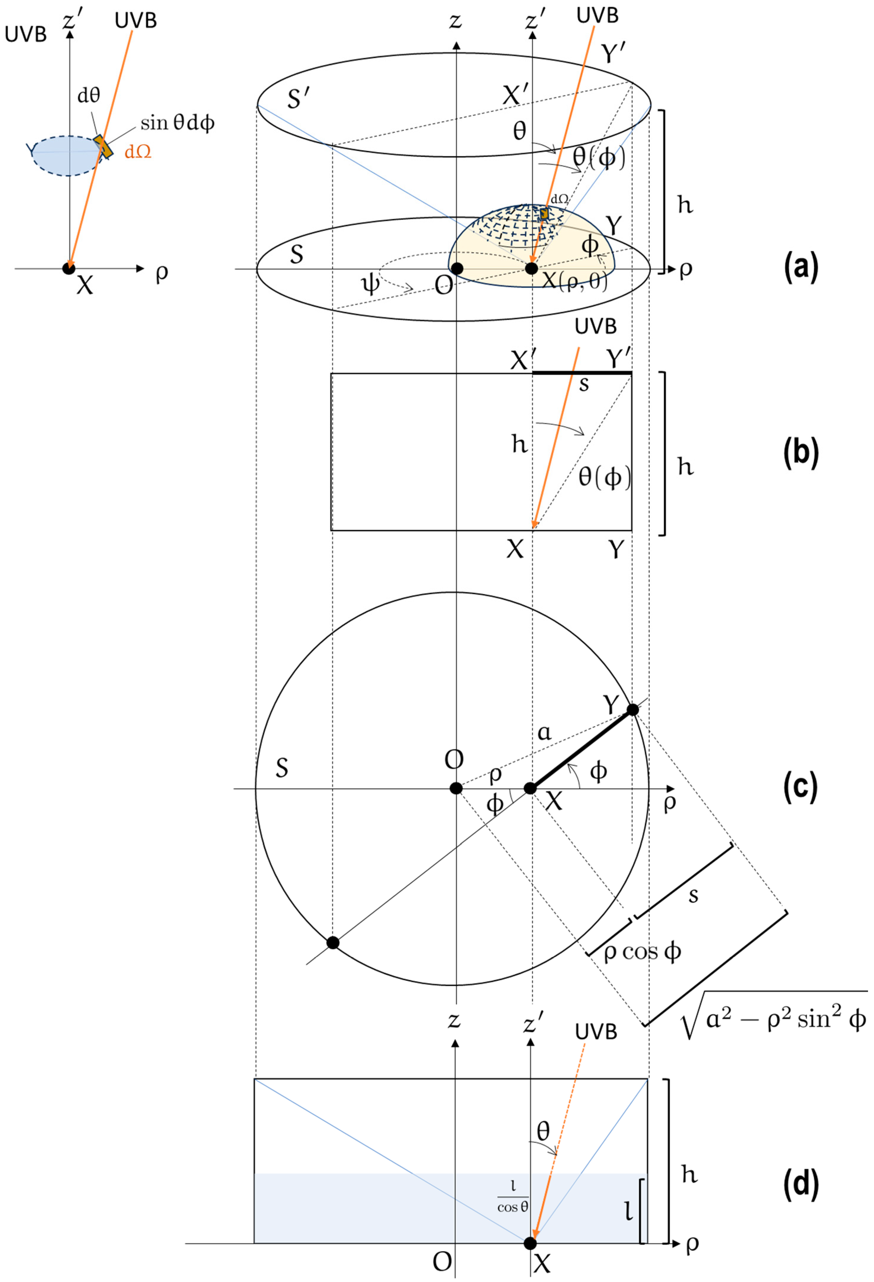 Biotech 13 00044 g0a1