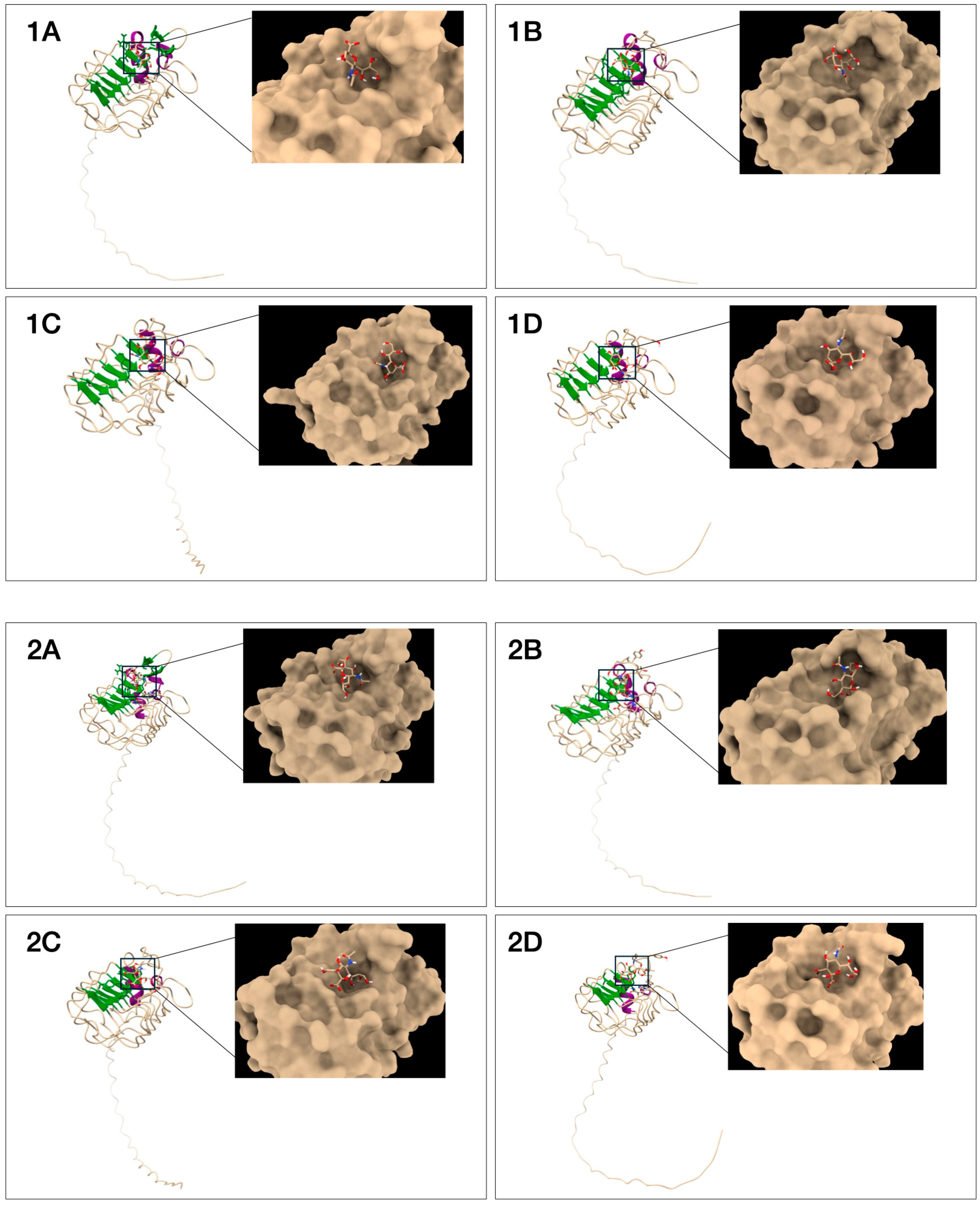 Biotech 13 00046 g006 Biotech 13 00046 g006