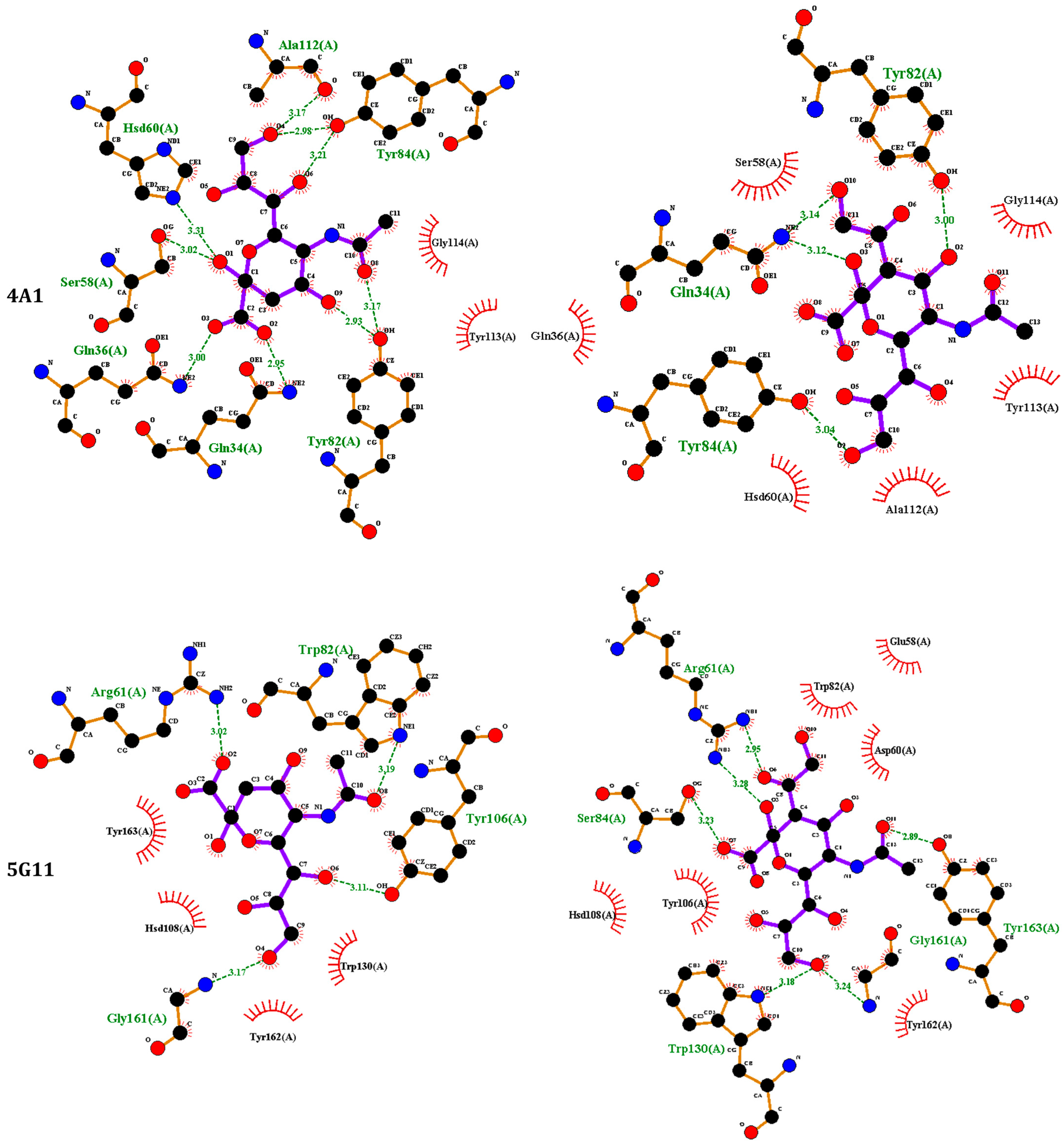 Biotech 13 00046 g007b Biotech 13 00046 g007b