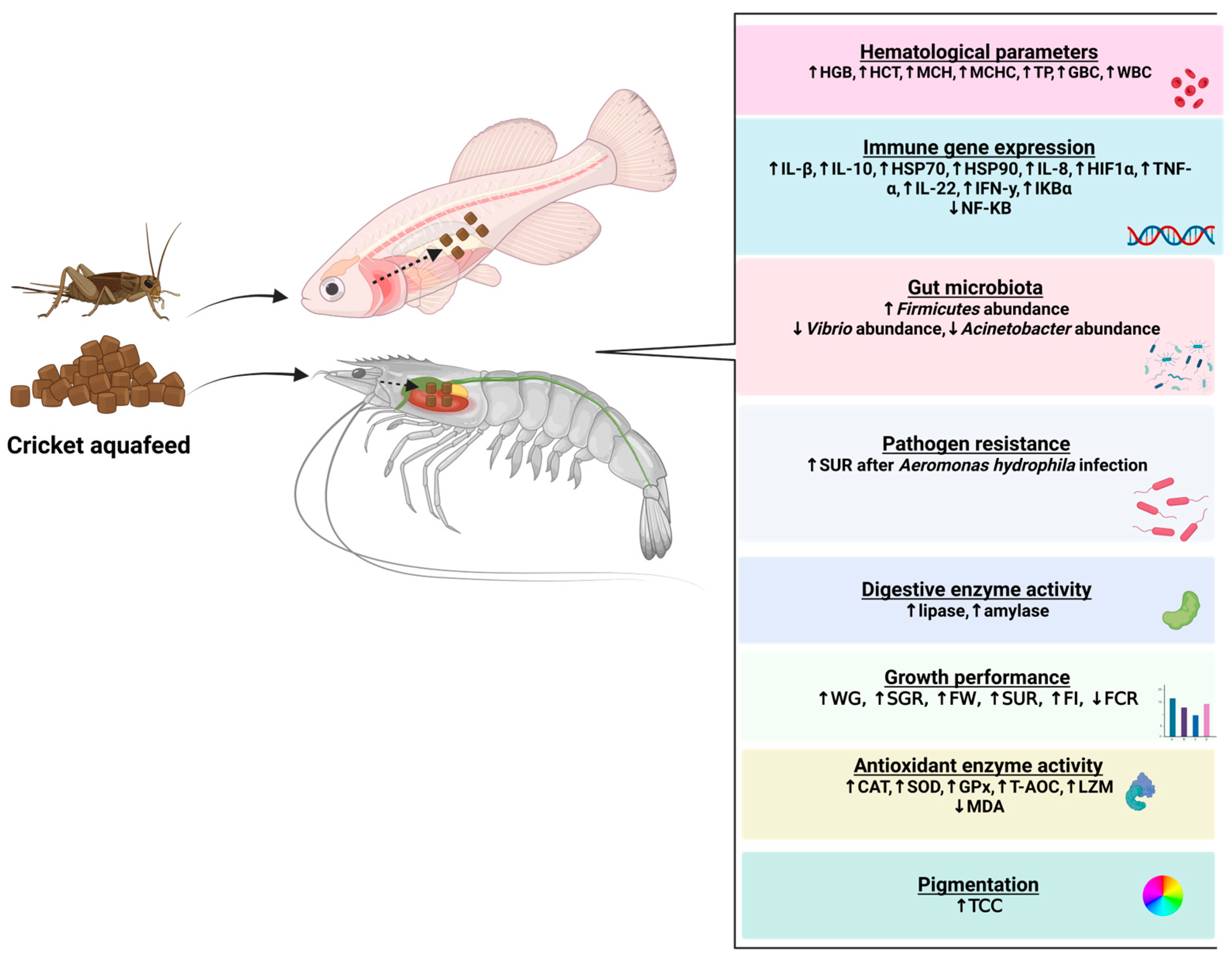 Biotech 13 00051 g002