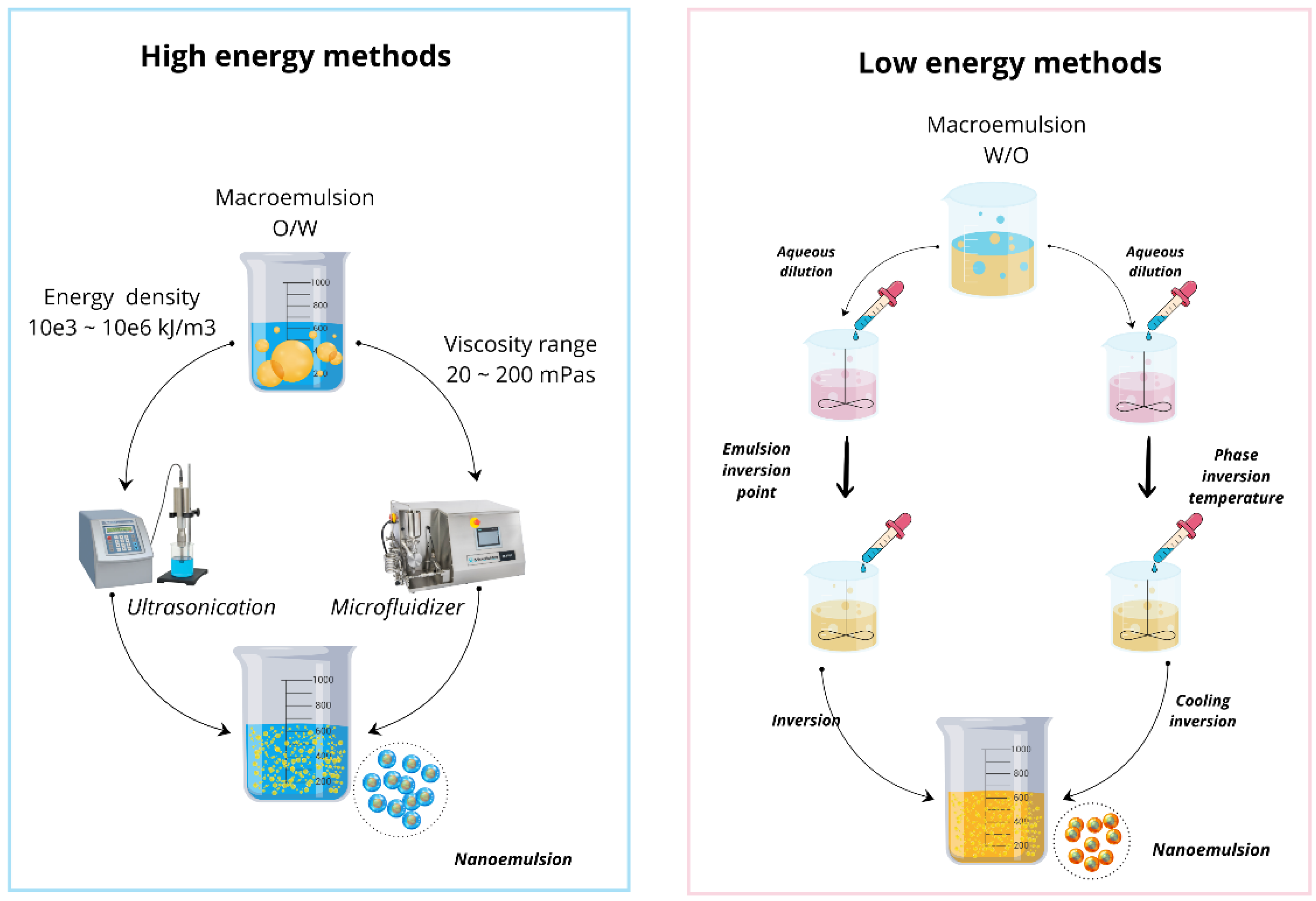 Biotech 13 00053 g003