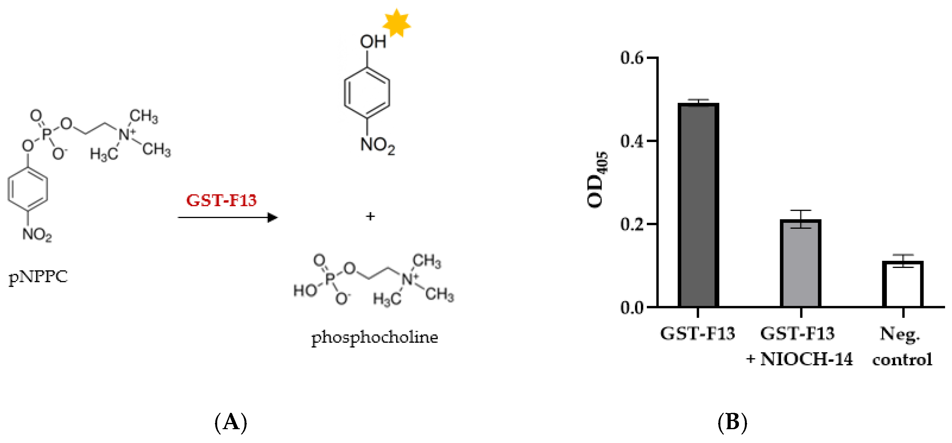Biotech 13 00057 g007