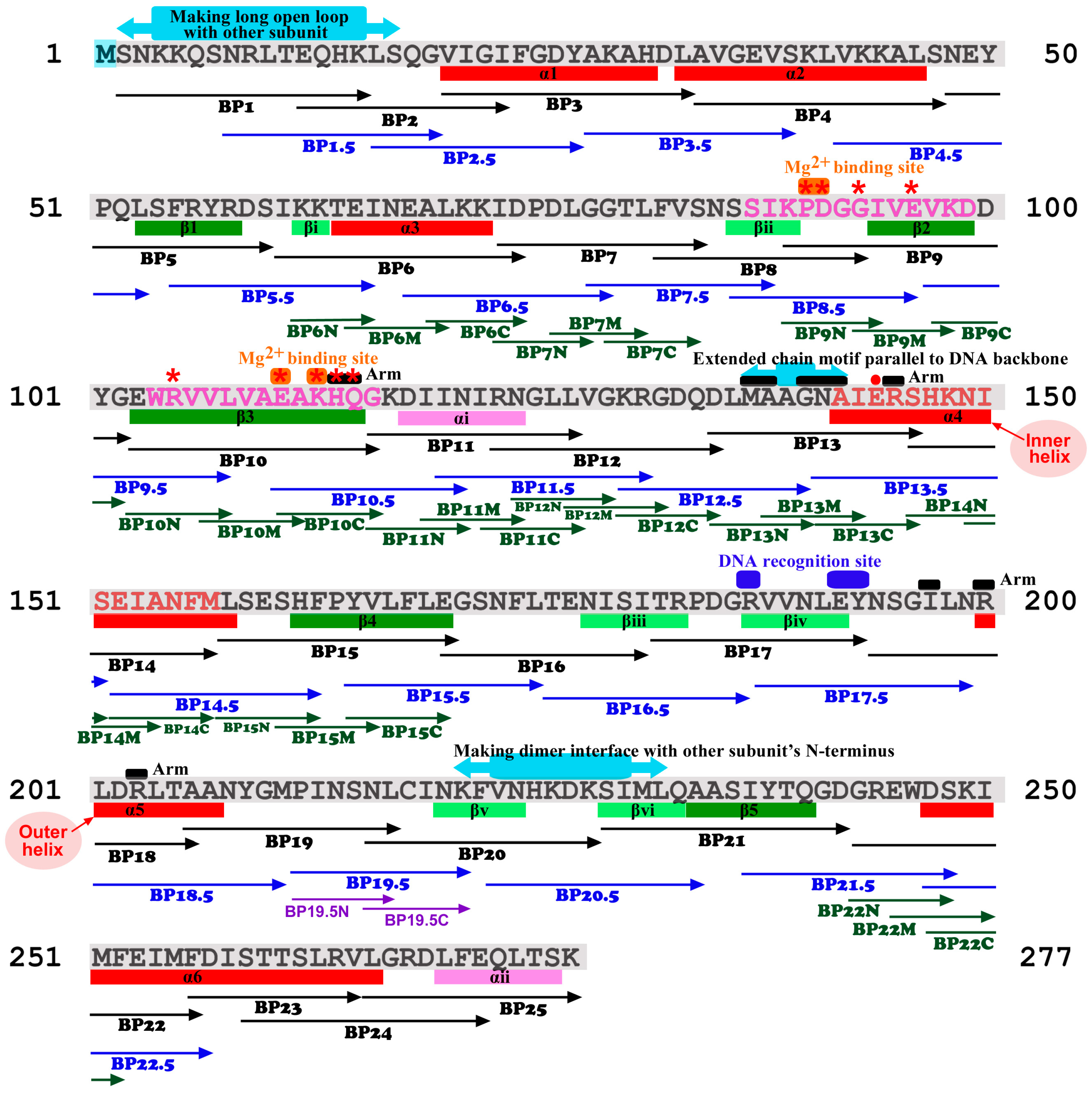 Biotech 14 00001 g002