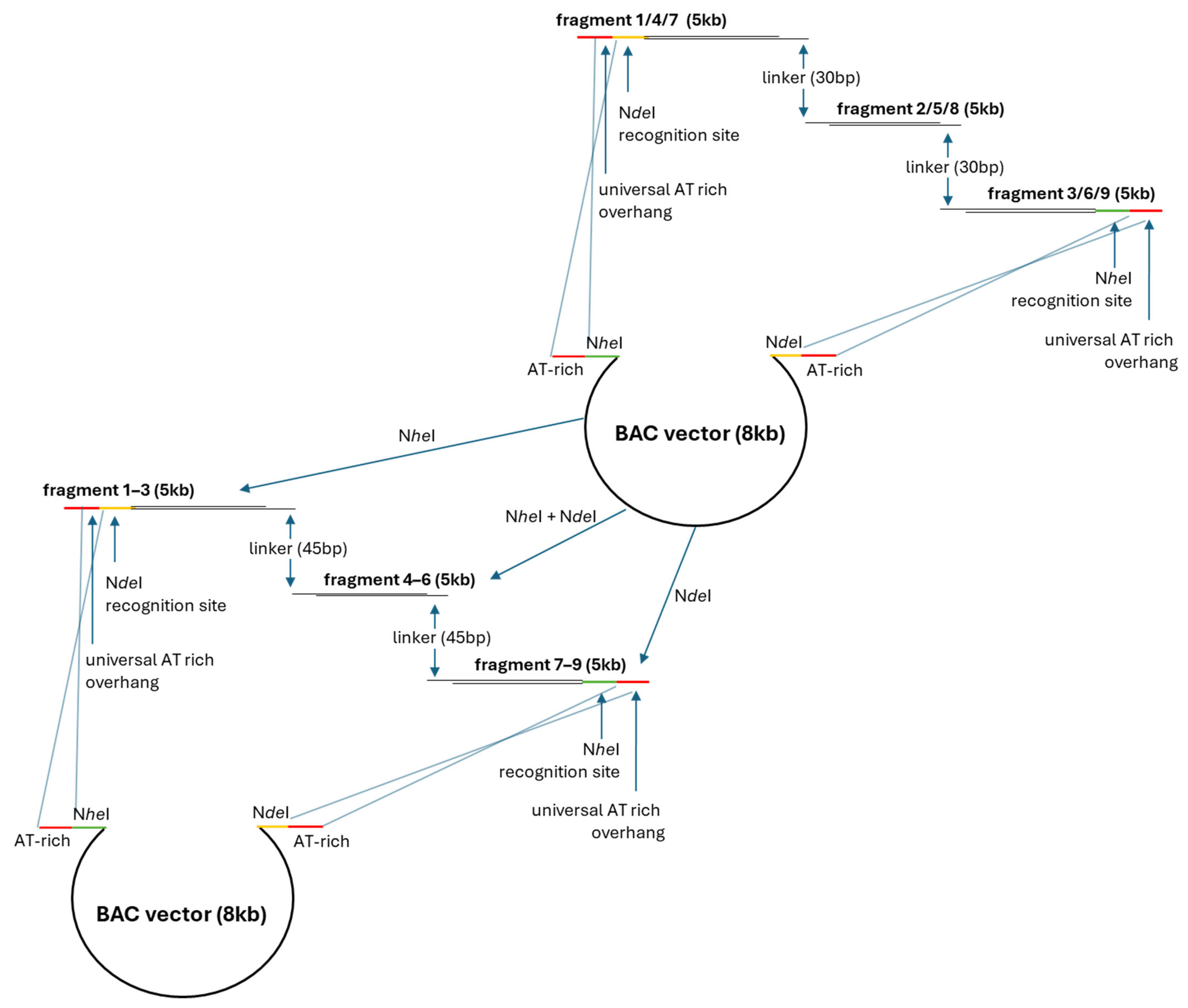 Biotech 14 00003 g004