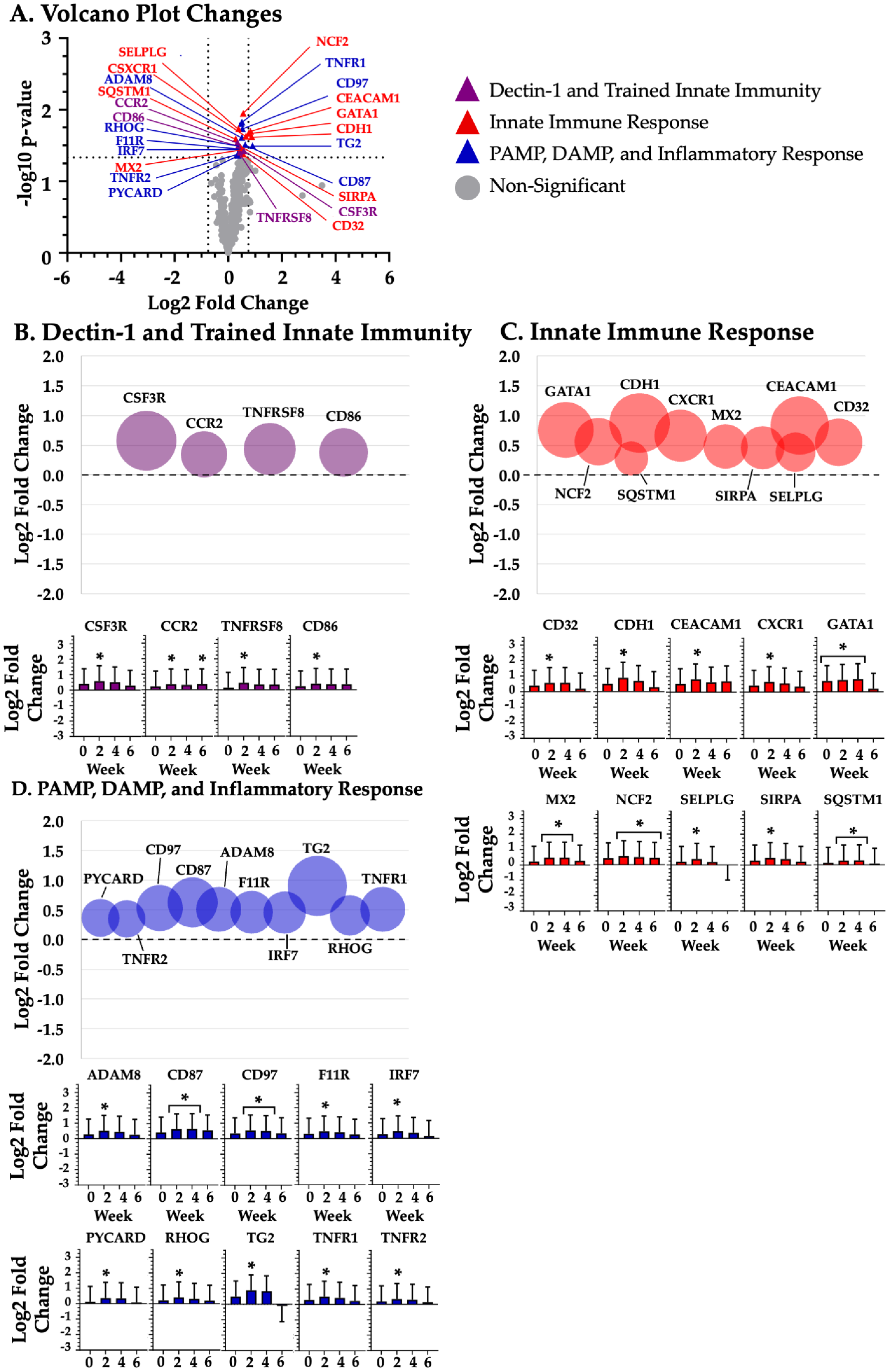 Biotech 14 00004 g002