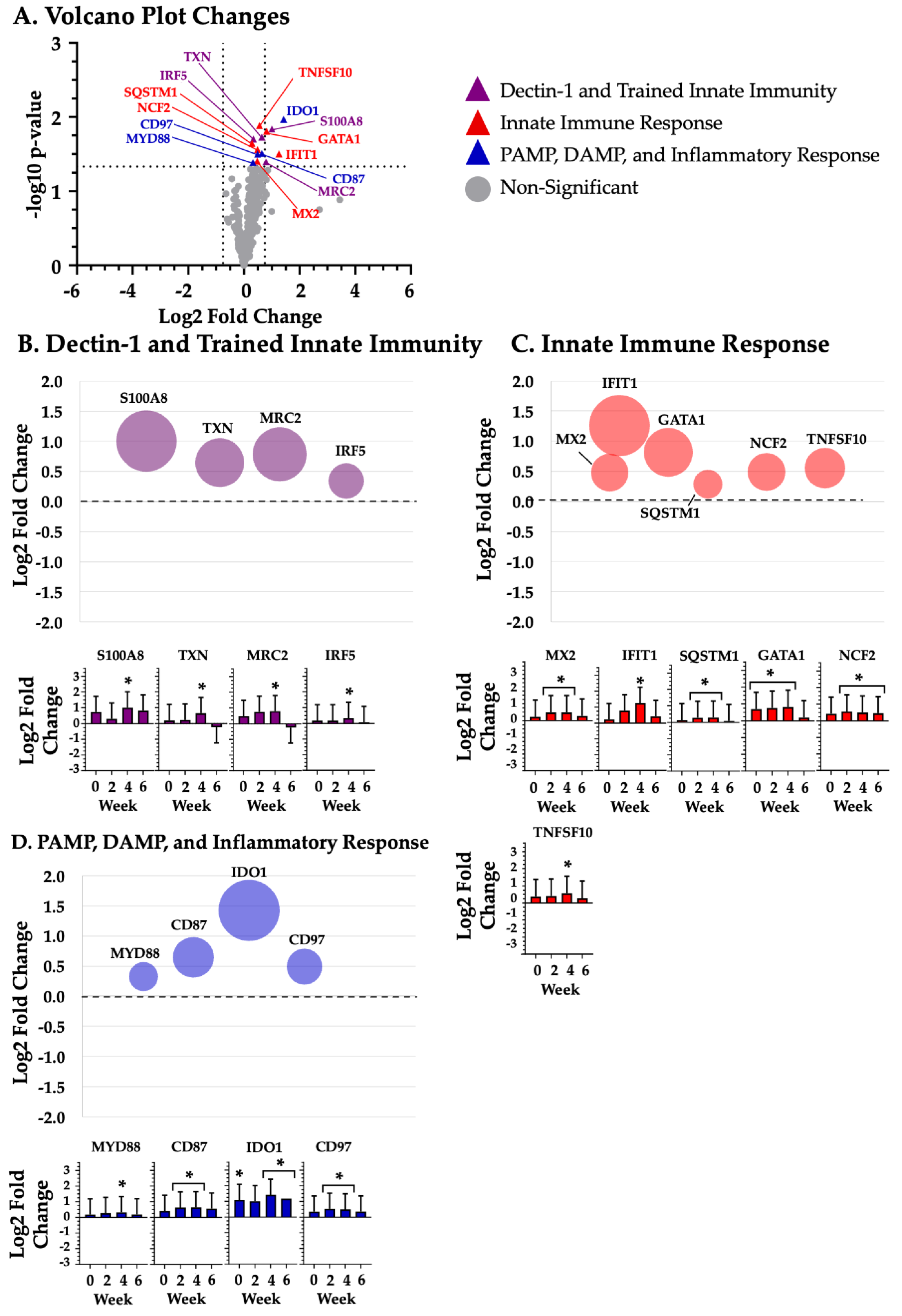 Biotech 14 00004 g003