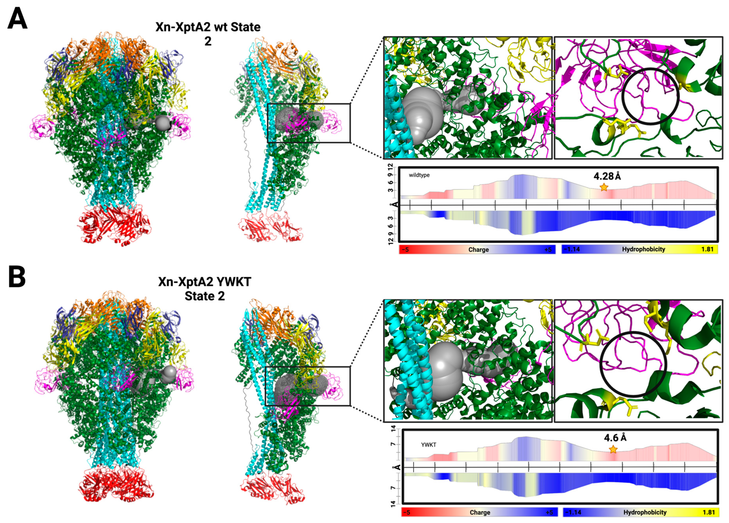 Biotech 14 00005 g004
