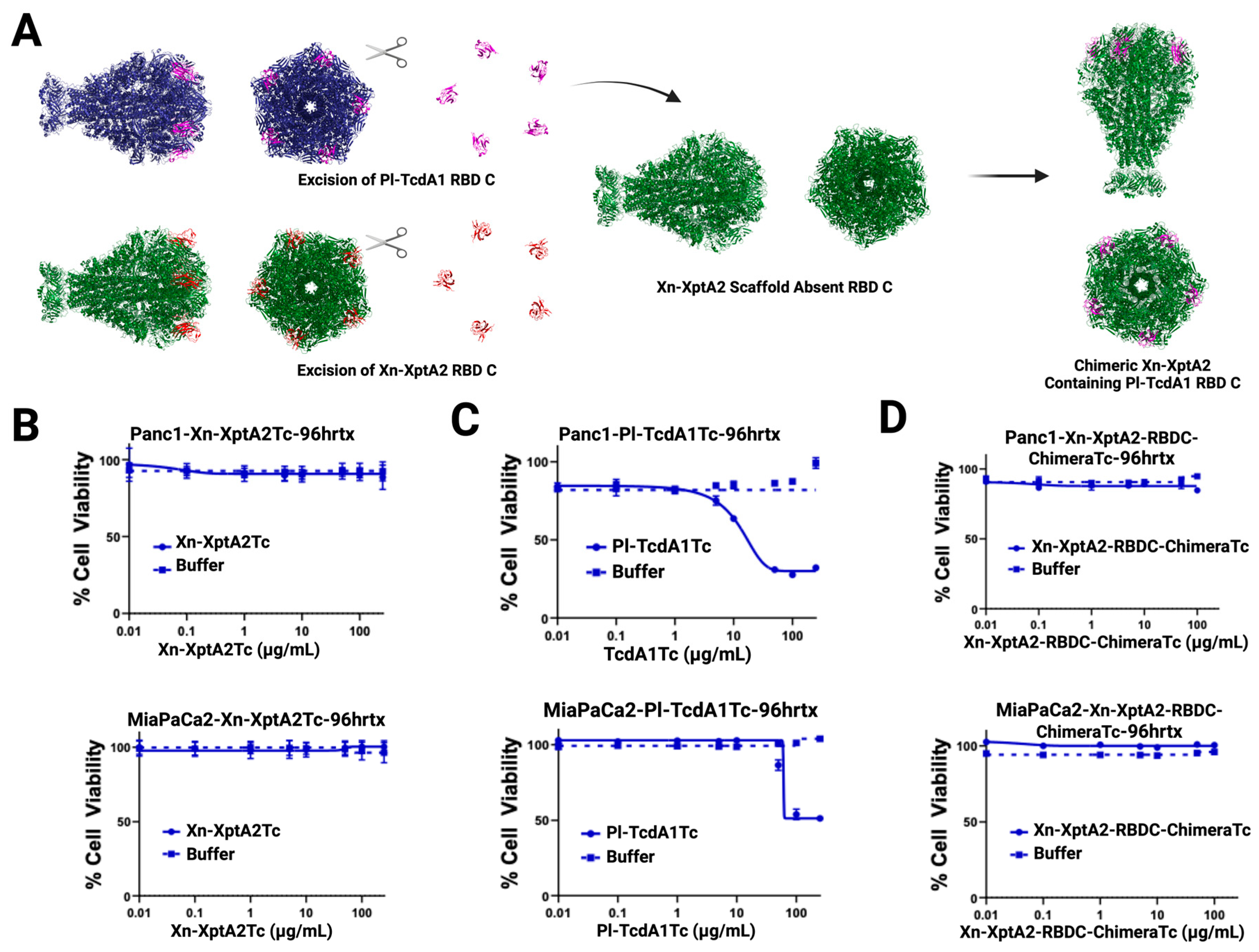 Biotech 14 00005 g005
