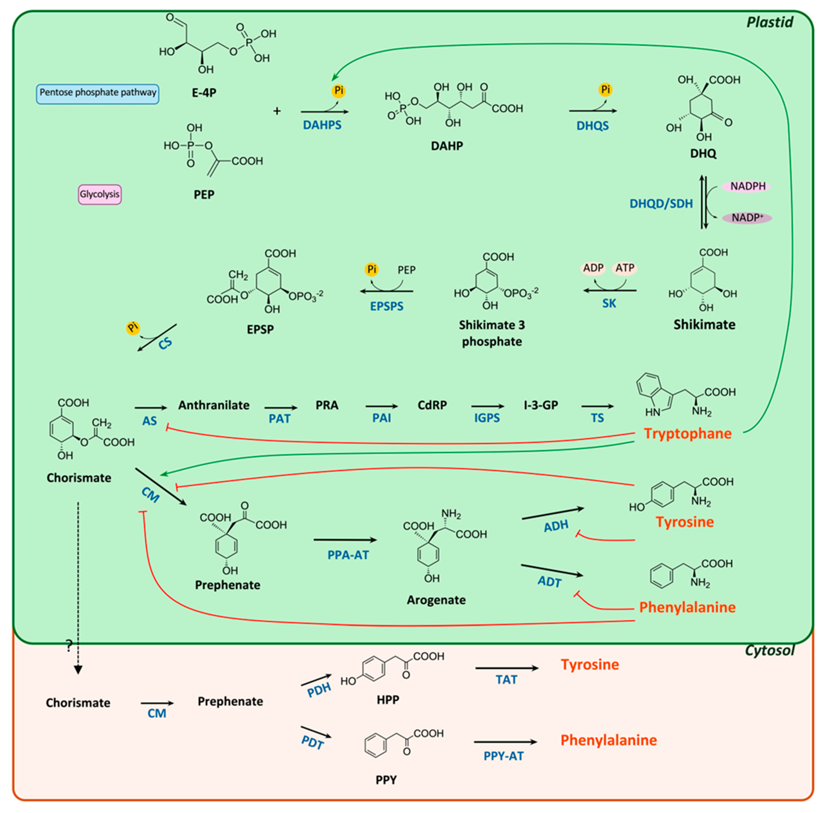 Biotech 14 00006 g001 Biotech 14 00006 g001