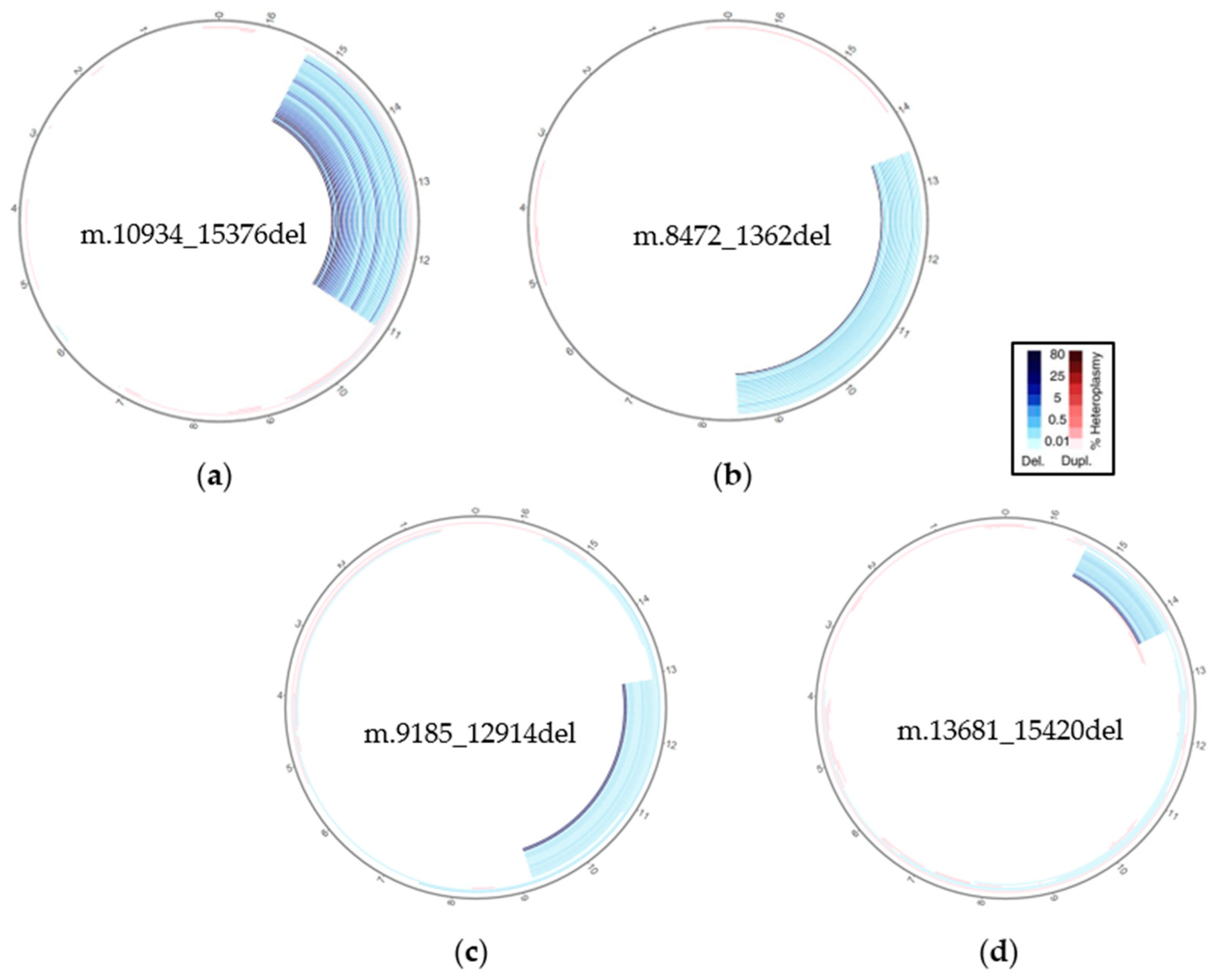 Biotech 14 00009 g001