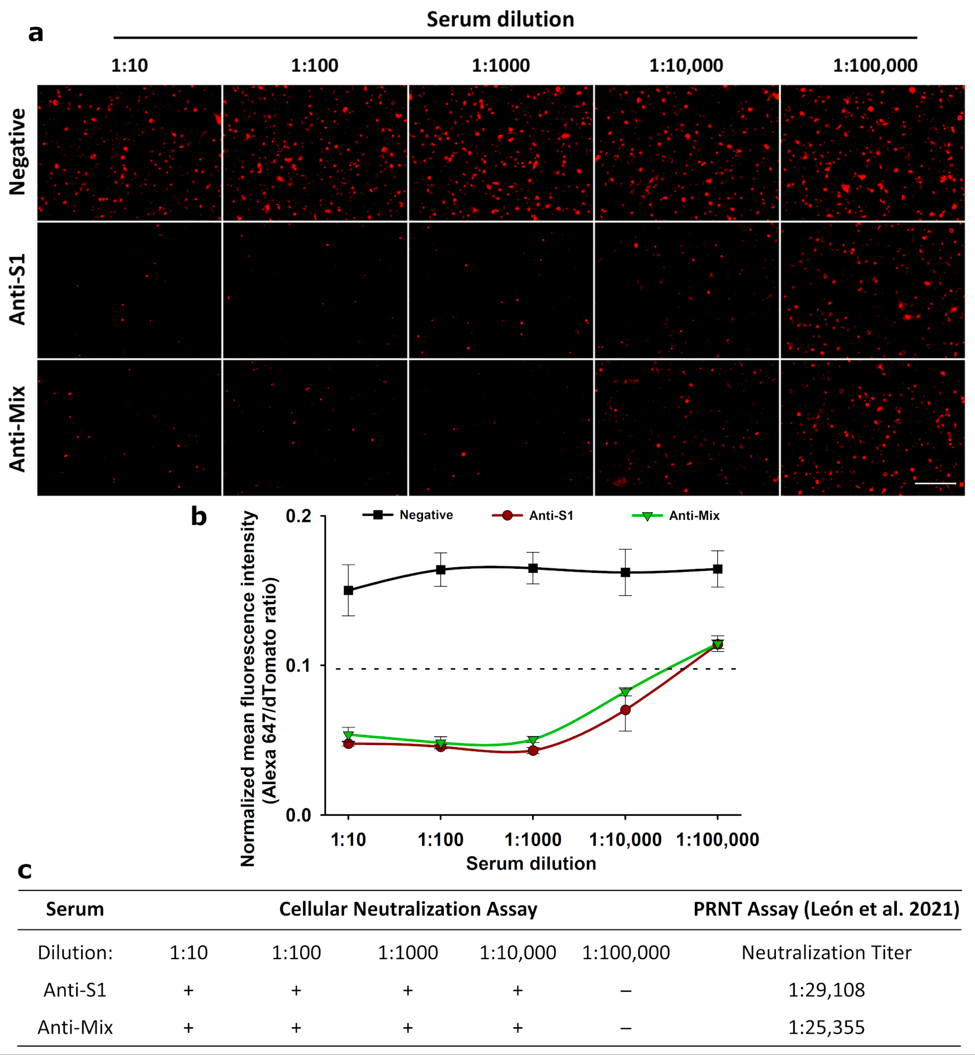 Biotech 14 00010 g004