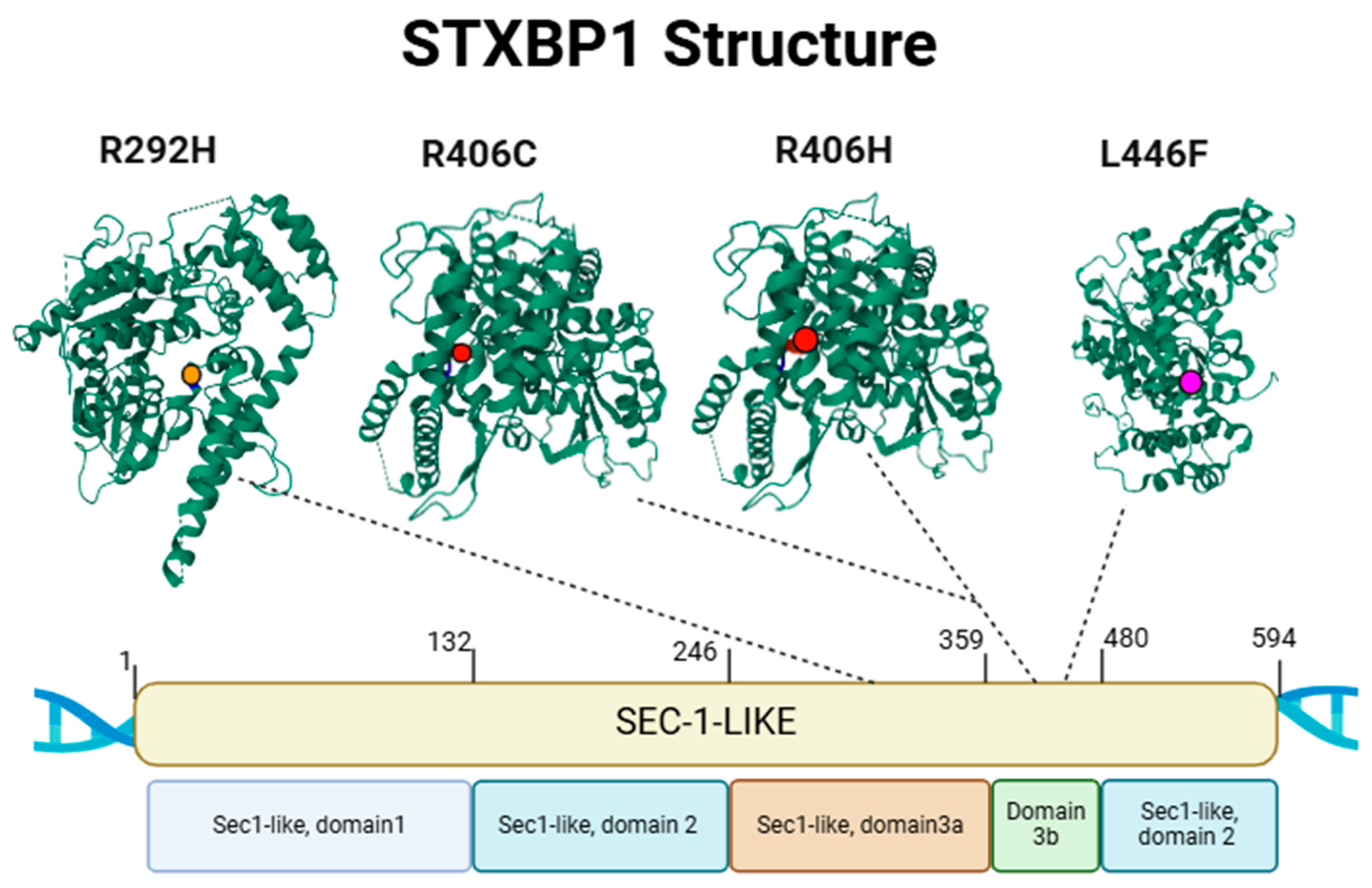 Biotech 14 00011 g001