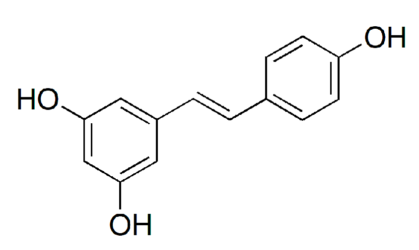 Biotech 14 00012 g002