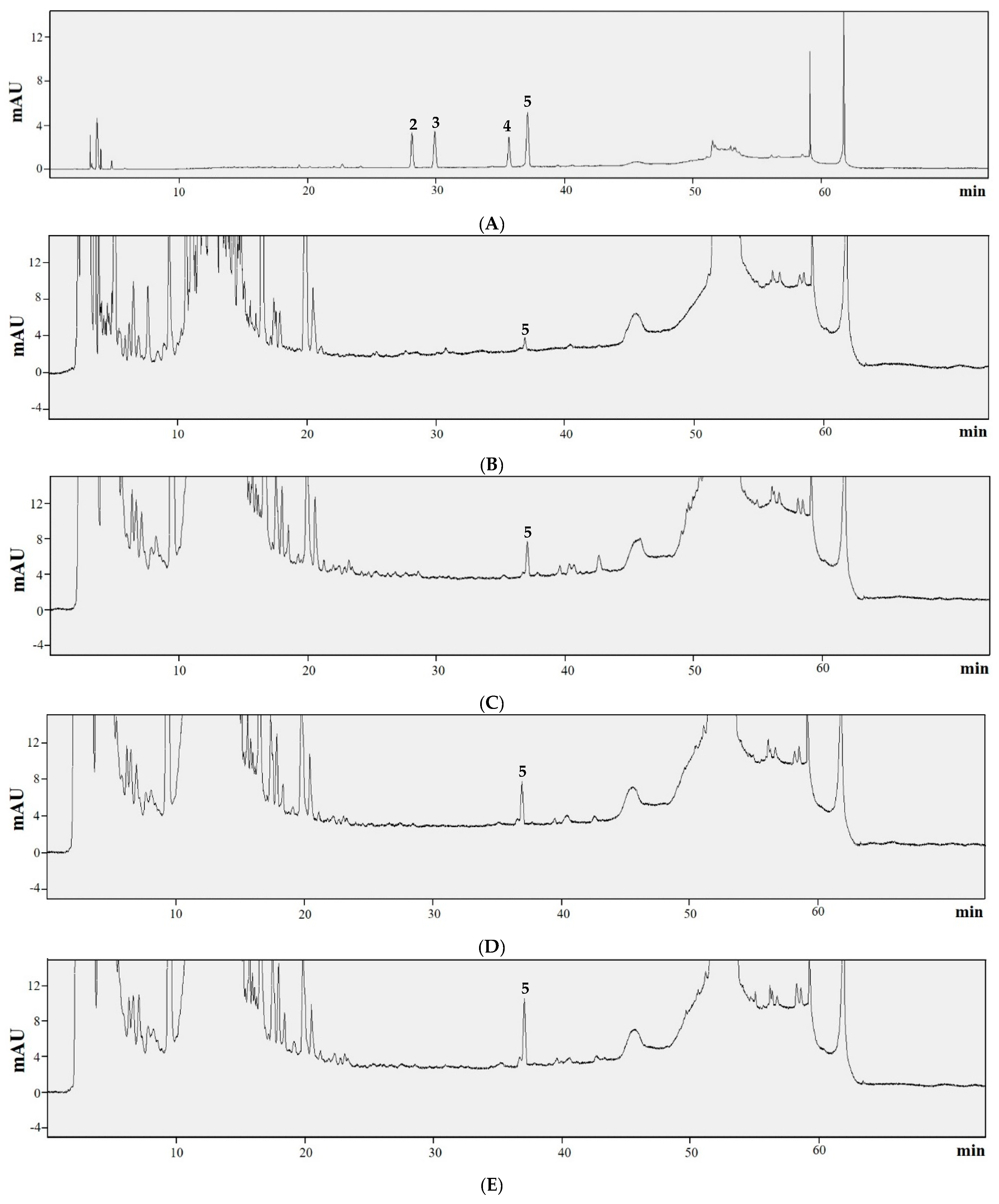 Biotech 14 00012 g006