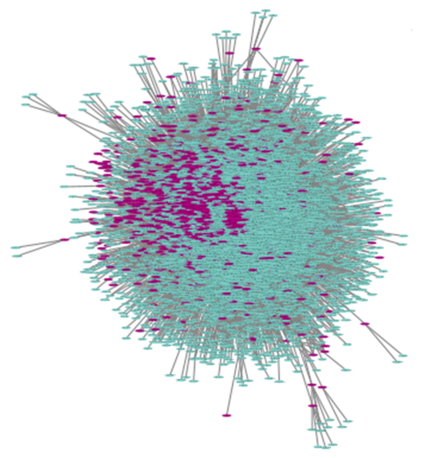 Biotech 14 00013 g002 Biotech 14 00013 g002