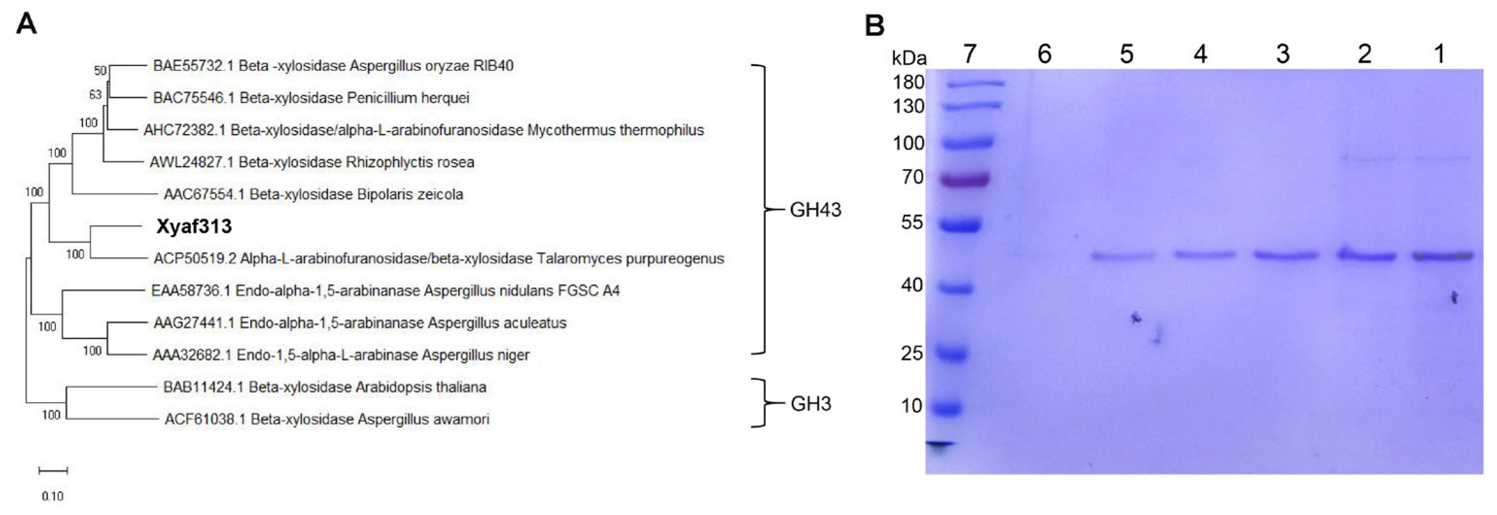 Biotech 14 00018 g001 Biotech 14 00018 g001