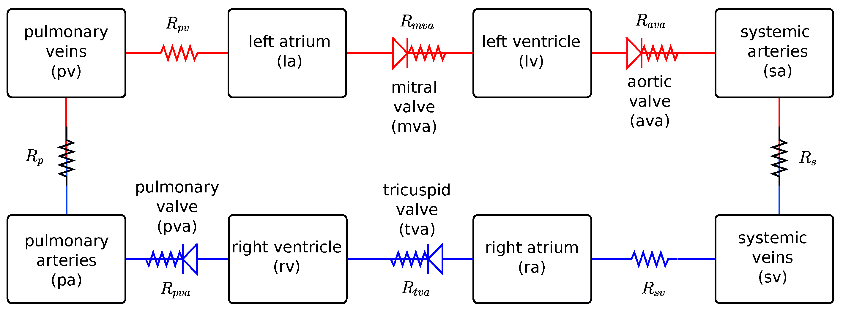 Biotech 14 00019 g001