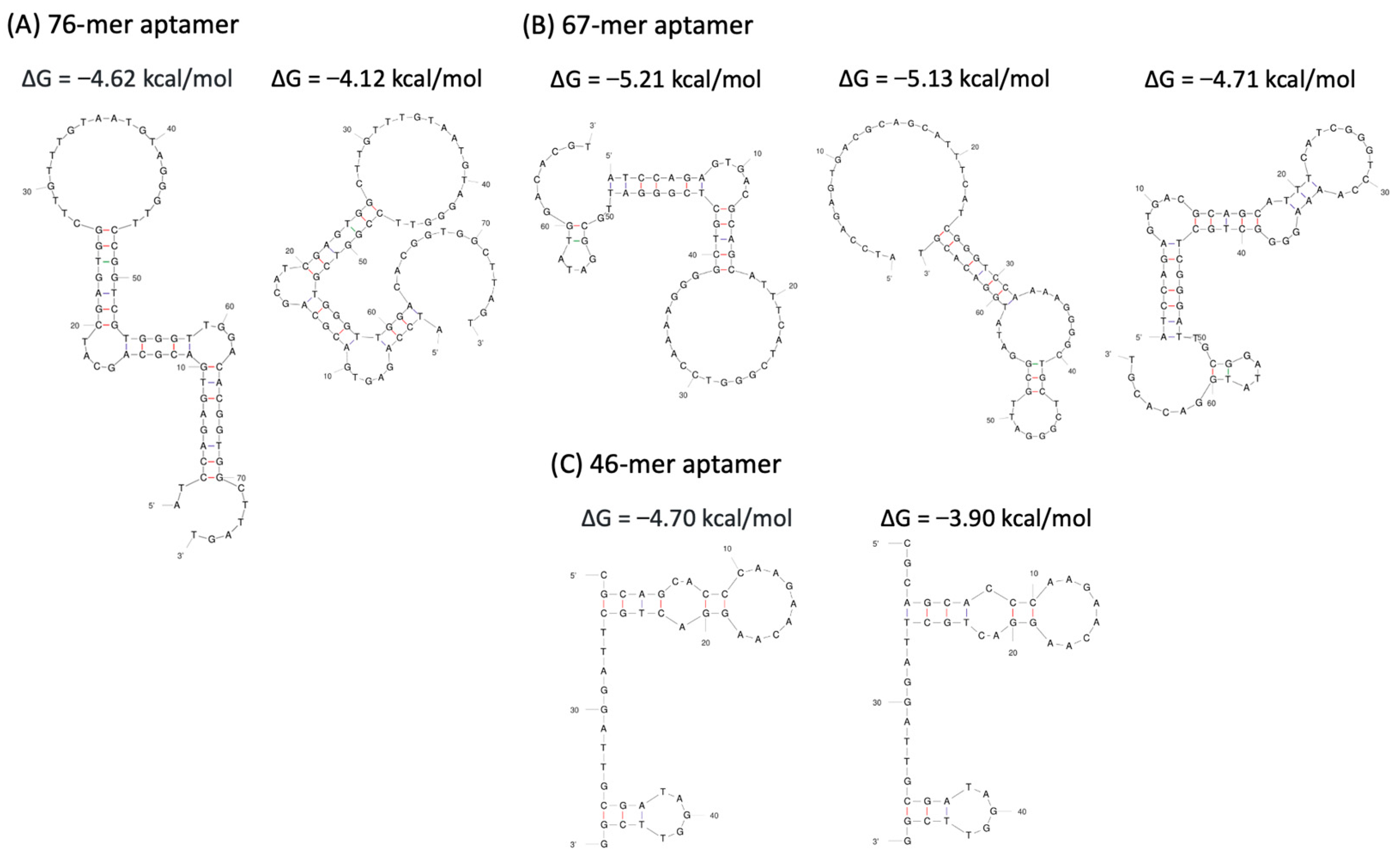 Biotech 14 00020 g005