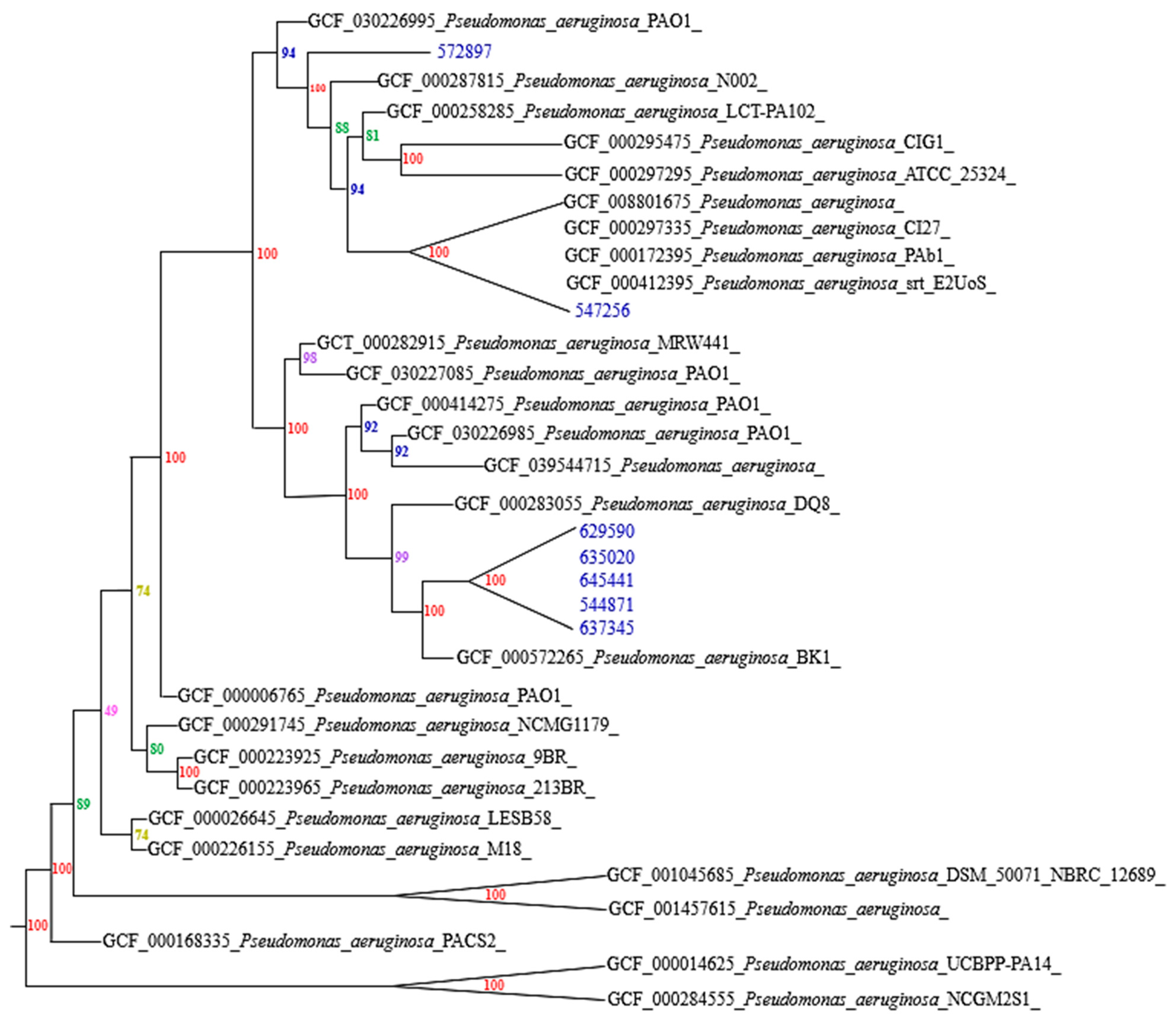 Biotech 14 00021 g001