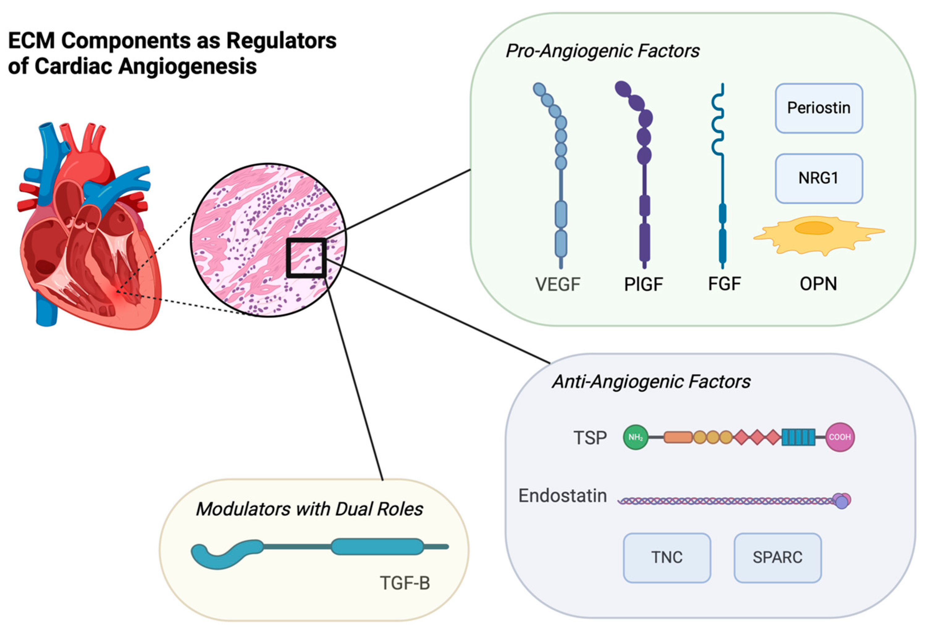 Biotech 14 00023 g001