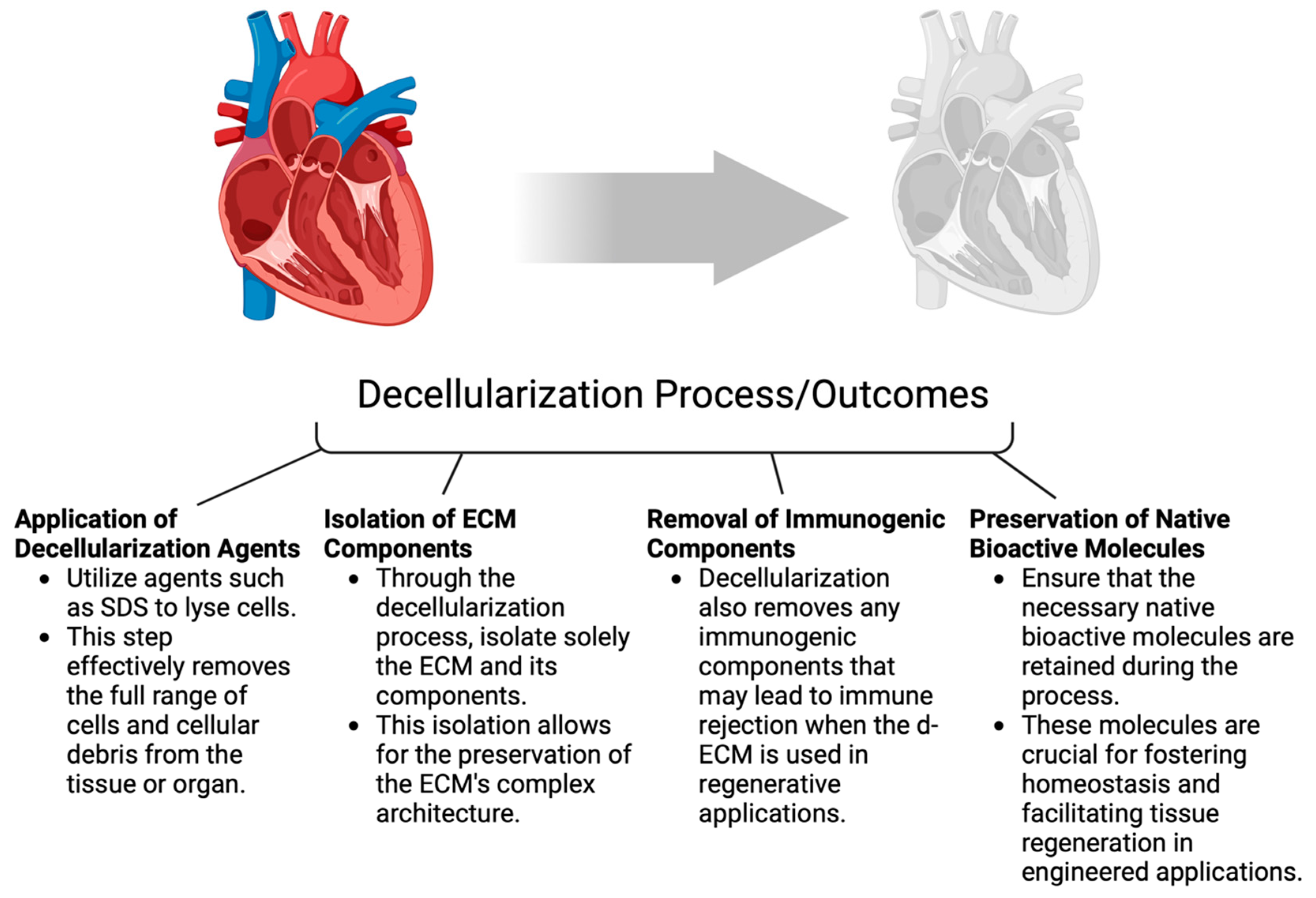 Biotech 14 00023 g002
