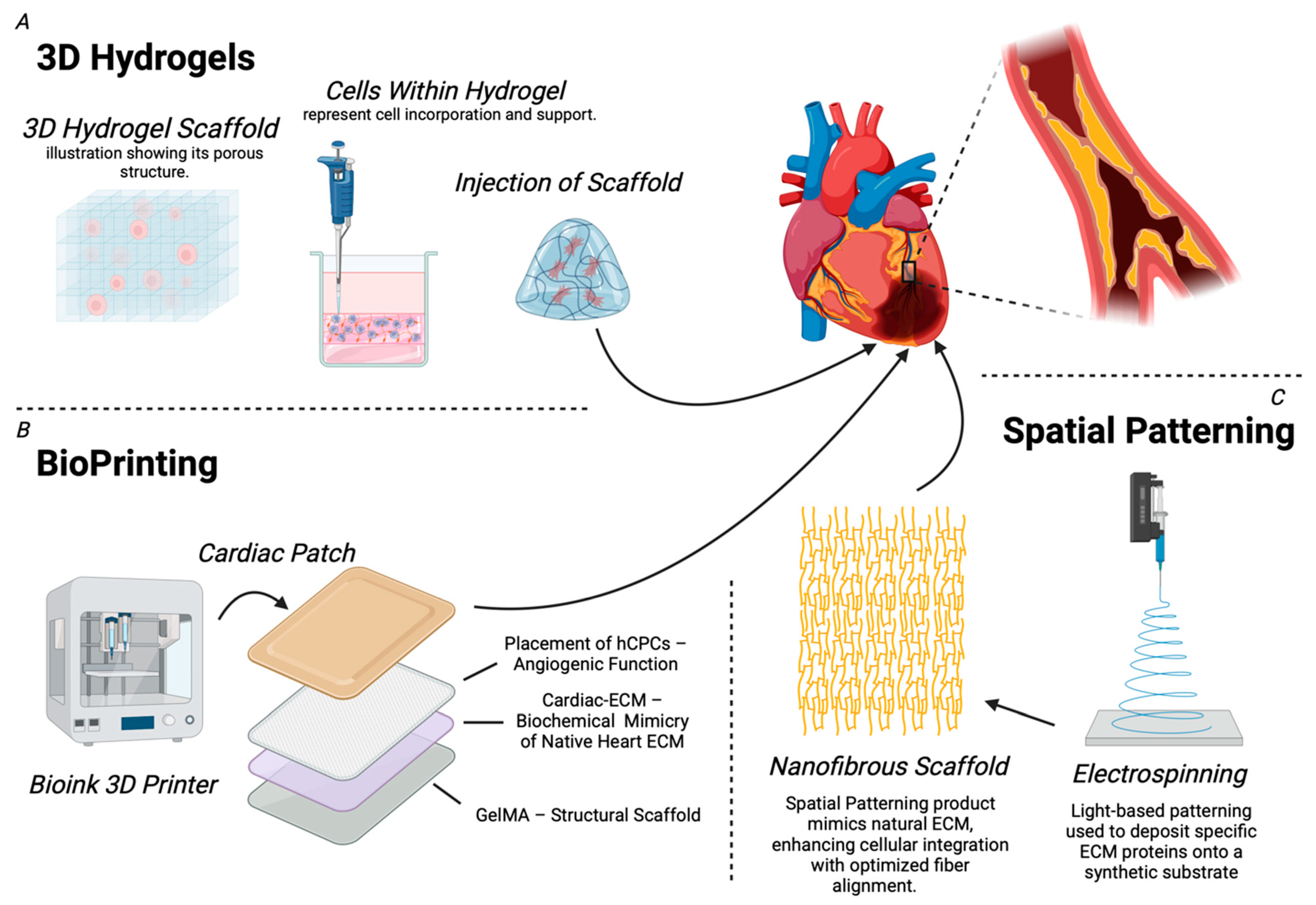 Biotech 14 00023 g003