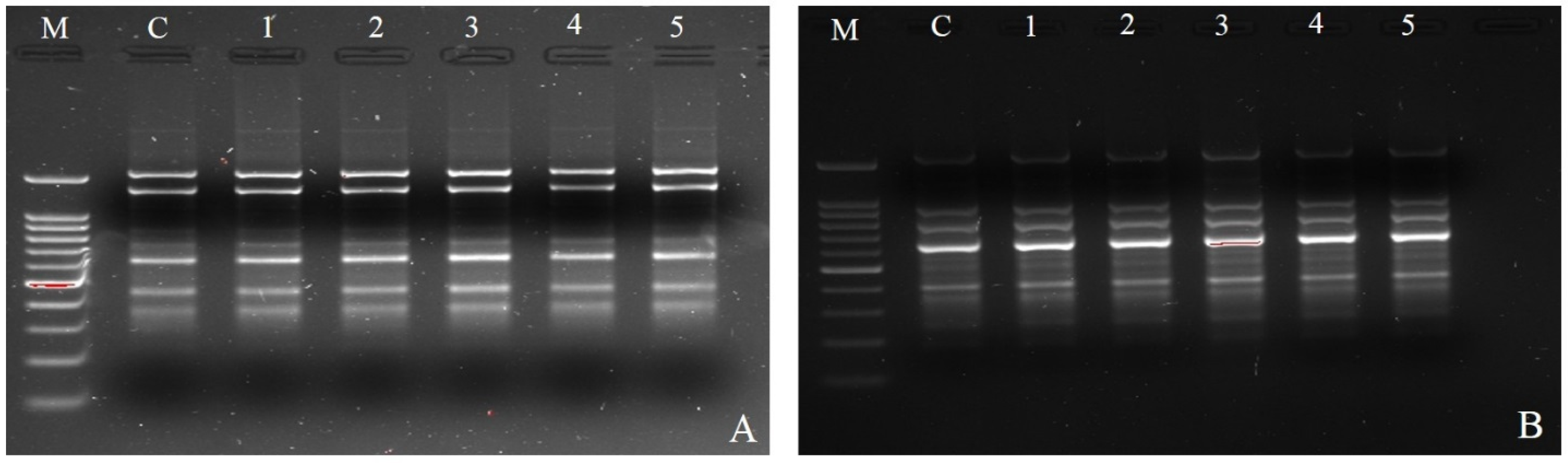 Biotech 14 00029 g002