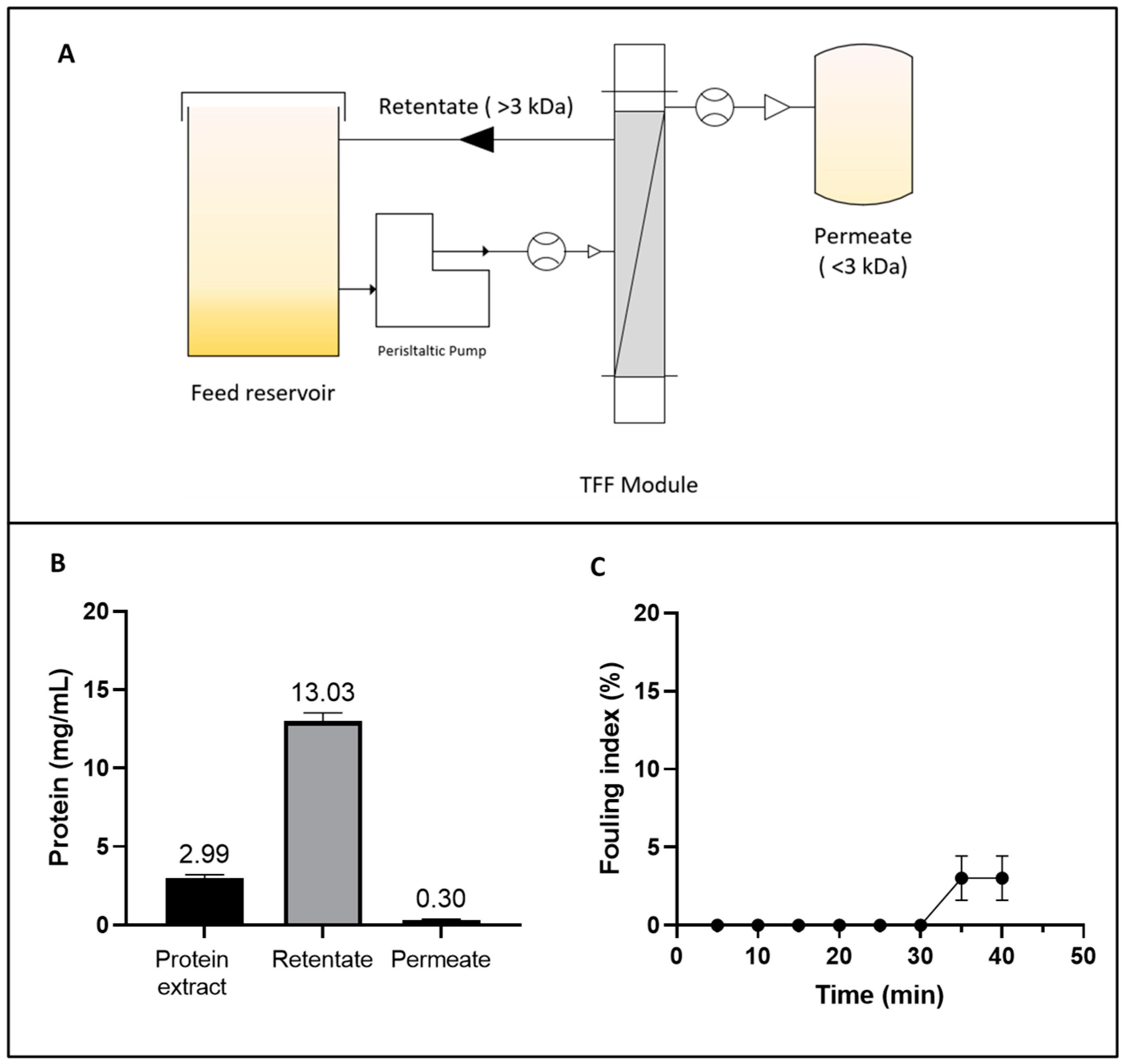 Biotech 14 00032 g001