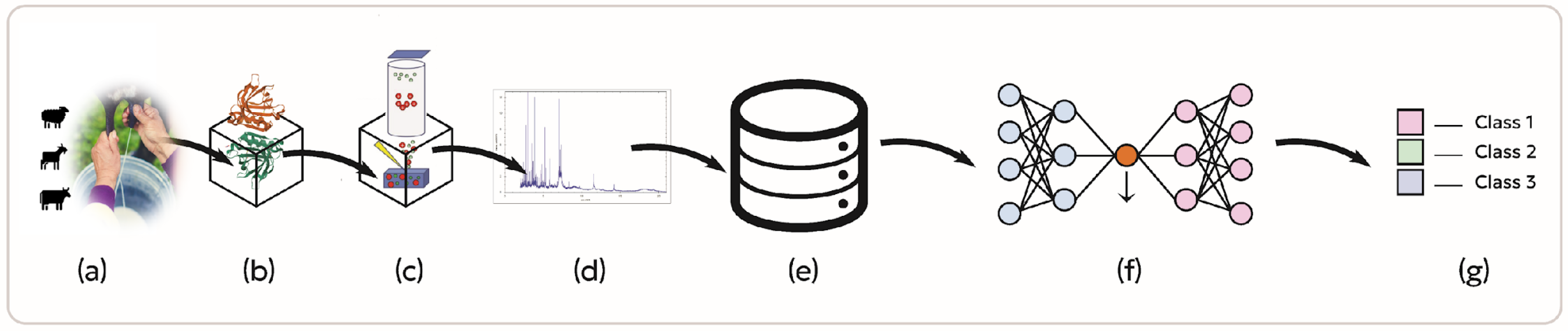 Biotech 14 00033 g001