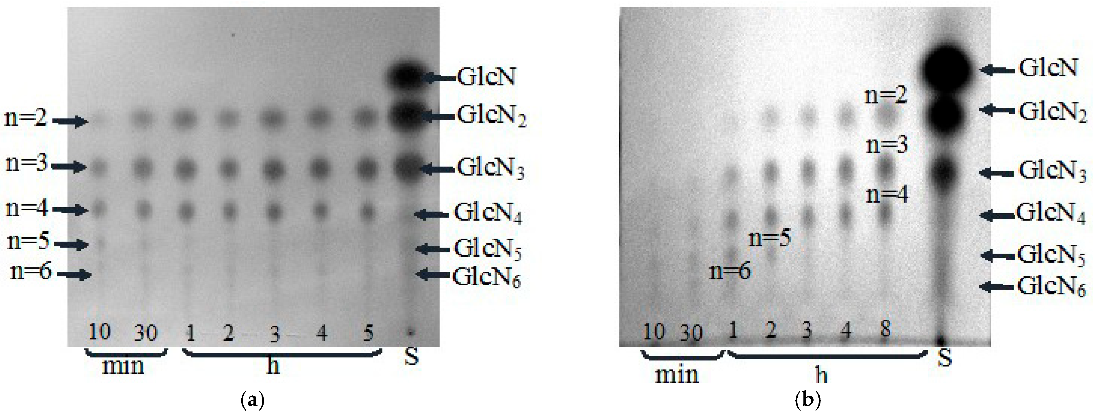Biotech 14 00035 g005