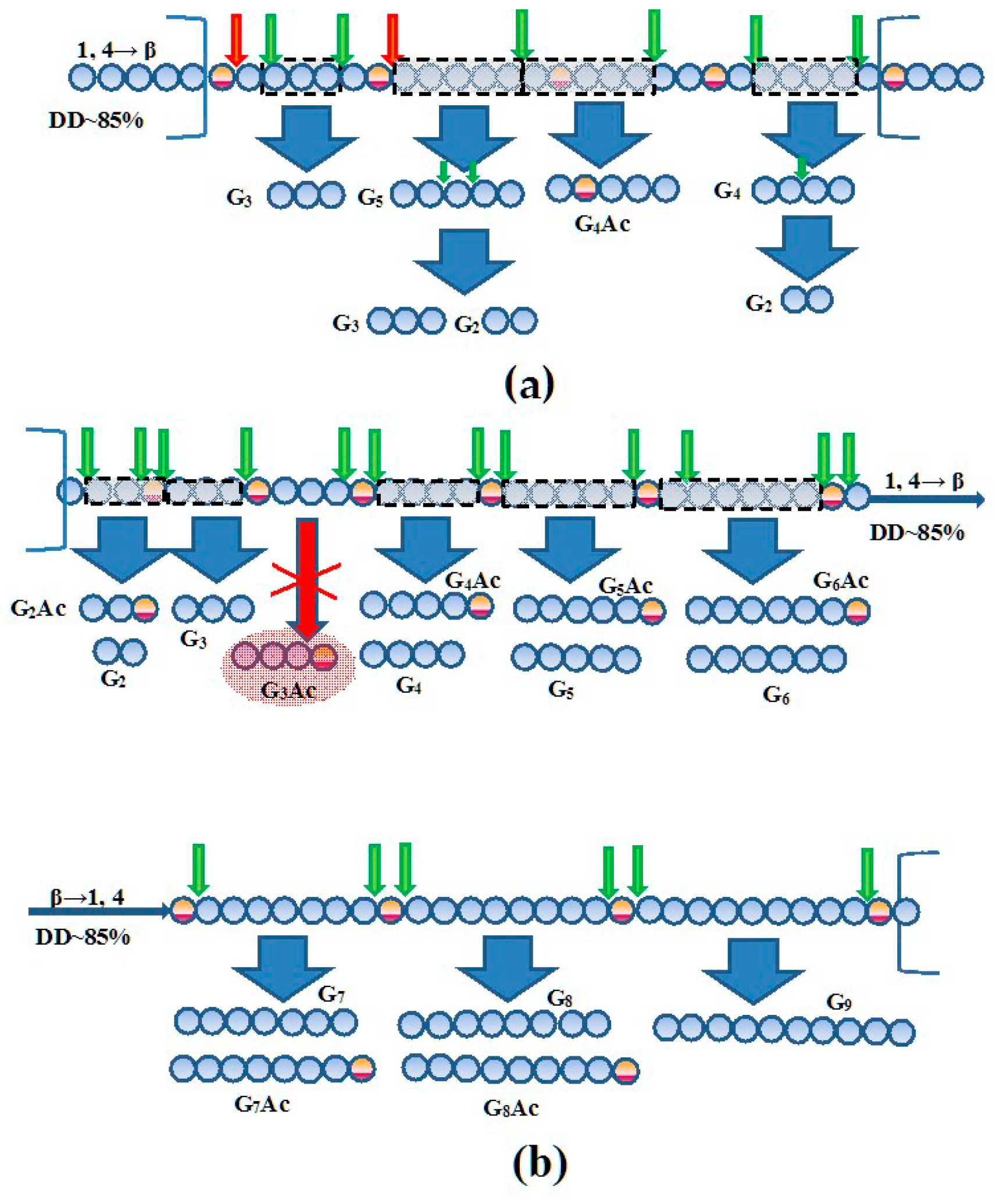 Biotech 14 00035 g008