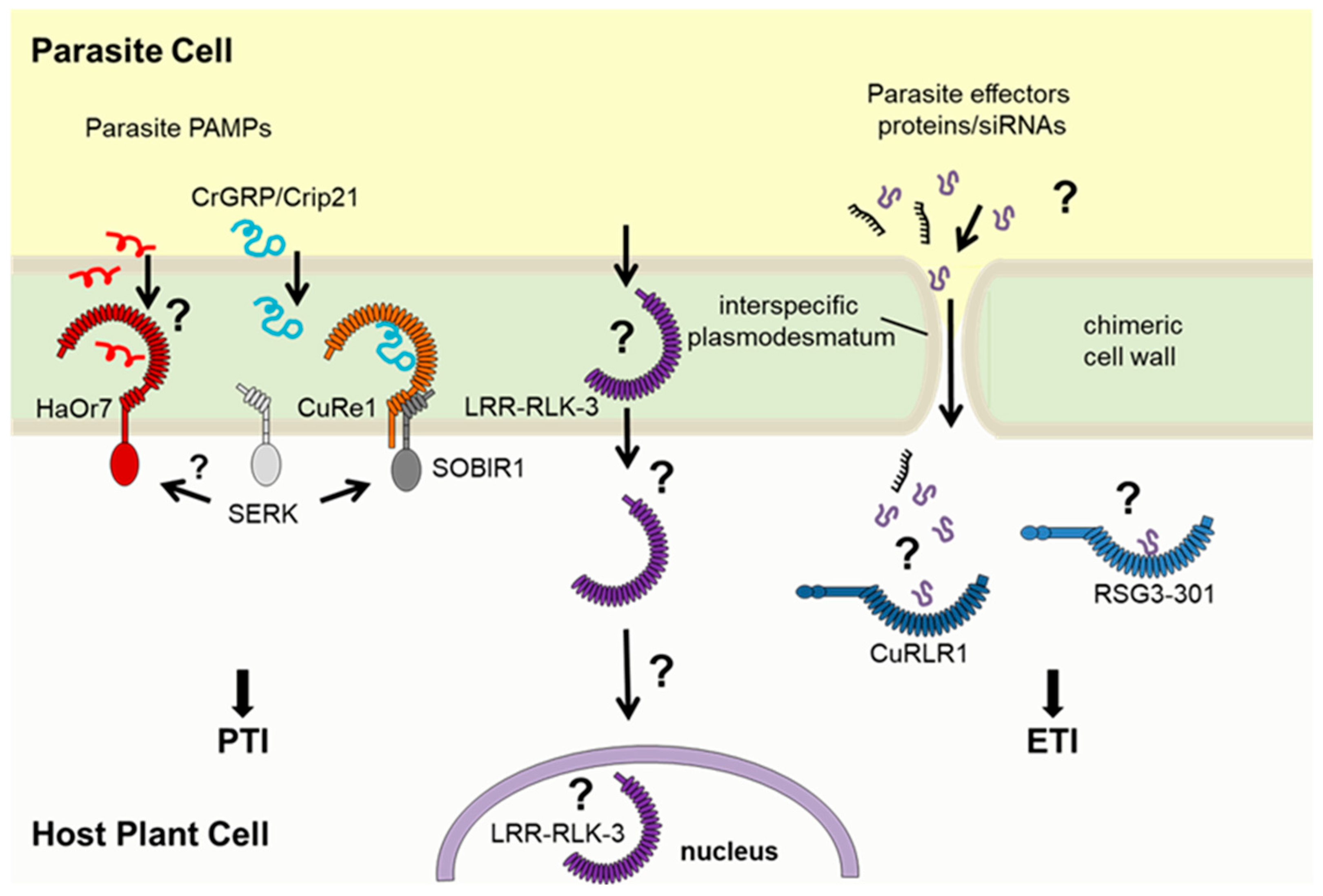 Biotech 14 00040 g001